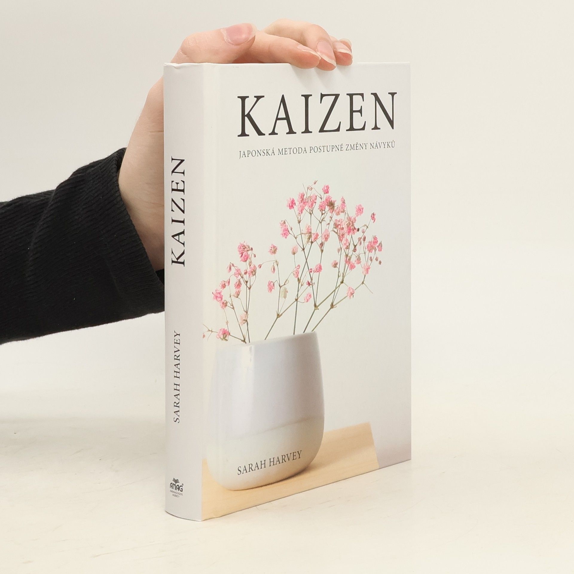 Sarah Harvey Kaizen: Japonská metoda postupné změny návyků