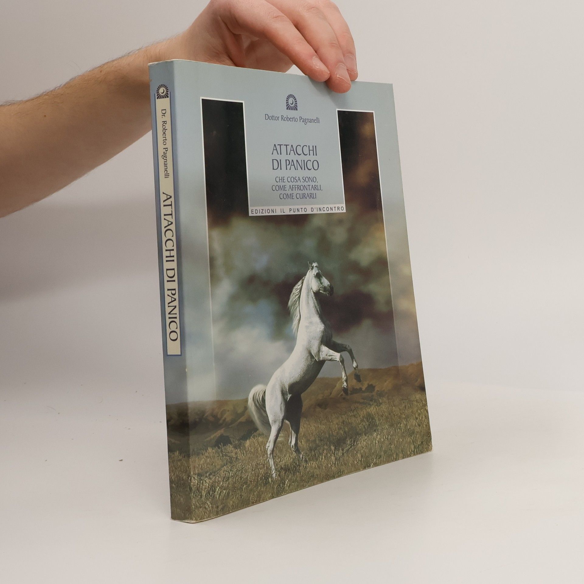 Roberto Pagnanelli Attacchi di panico. Che cosa sono, come affrontarli, come curarli