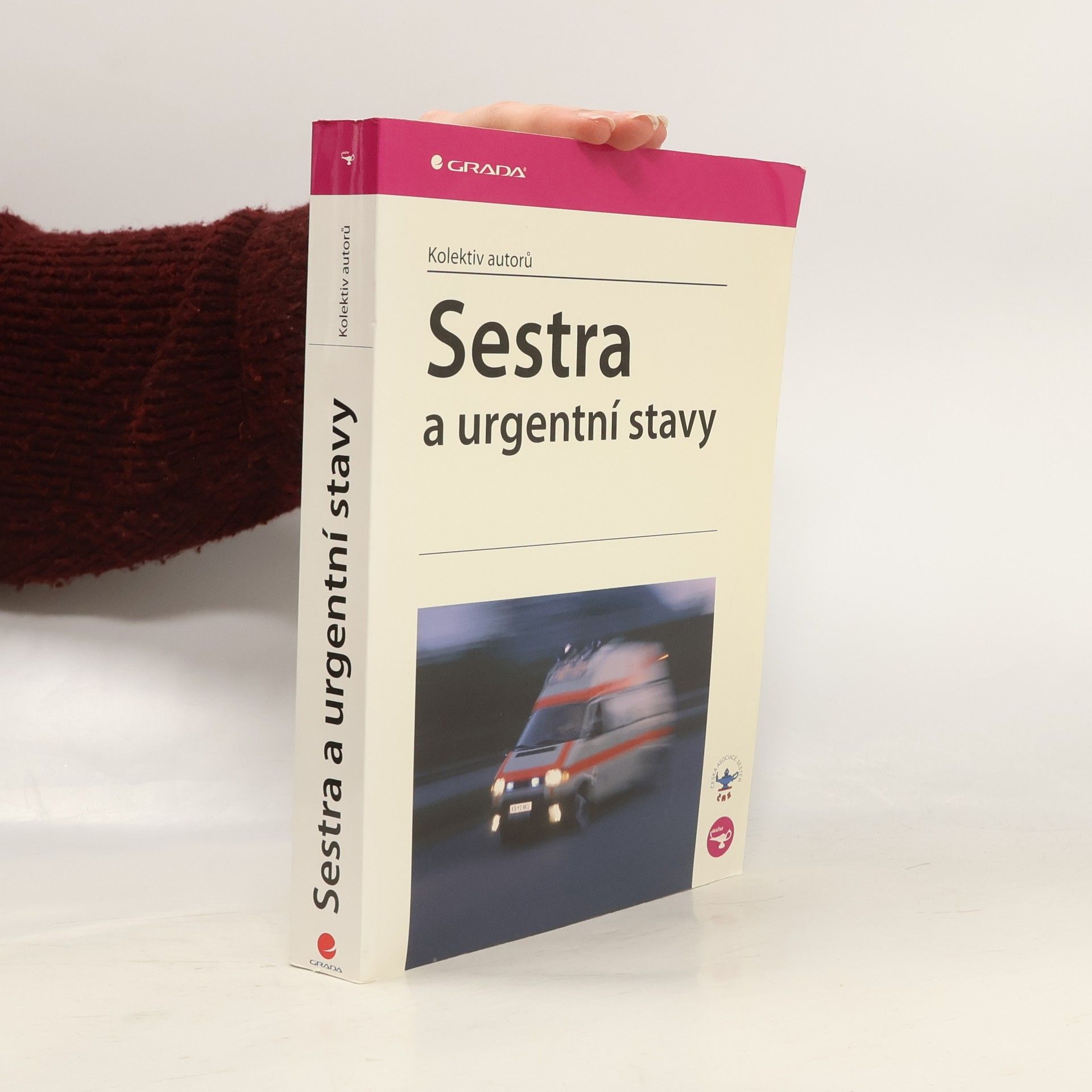 Autorenkollektiv Sestra a urgentní stavy