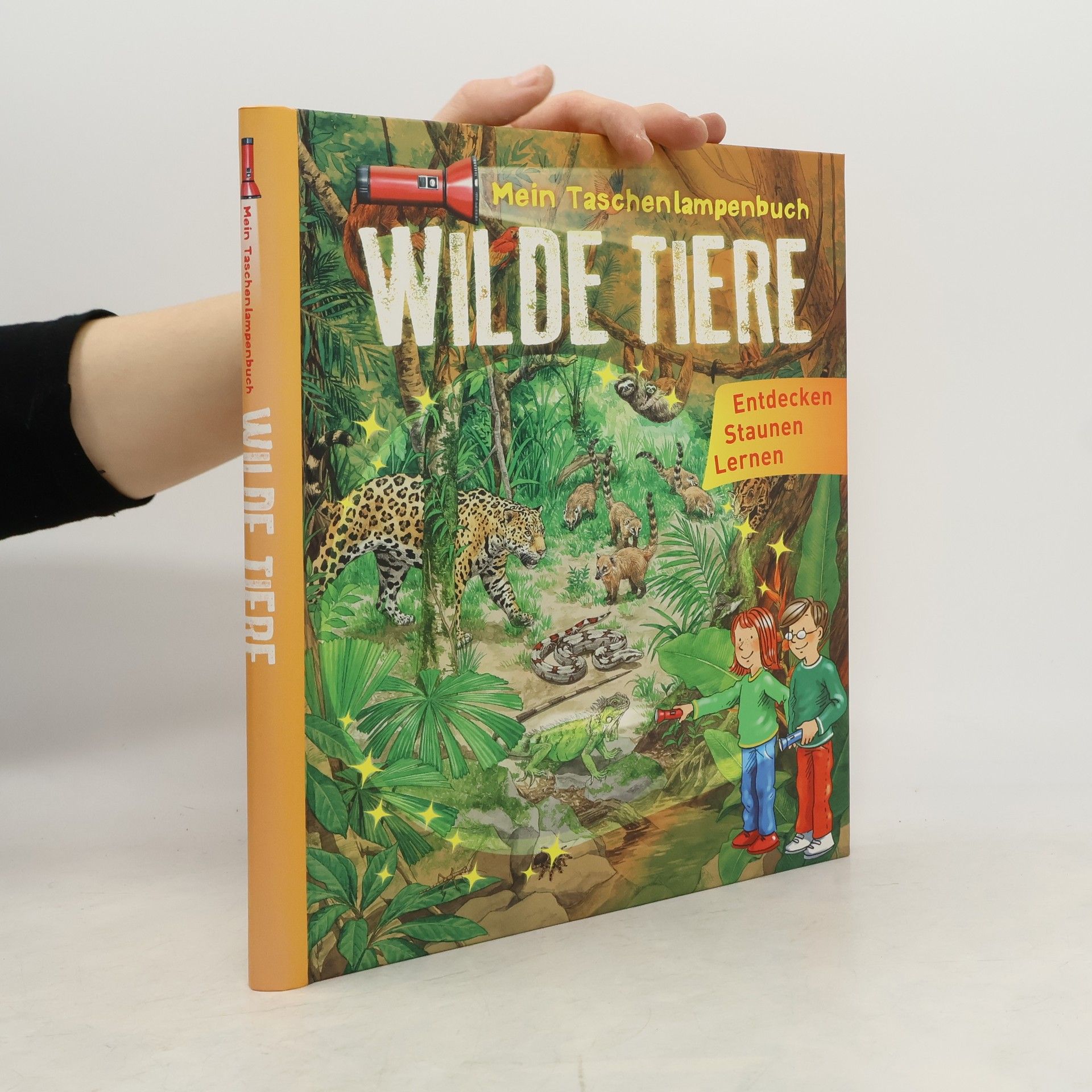 Various authors Mein Taschenlampenbuch Wilde Tiere