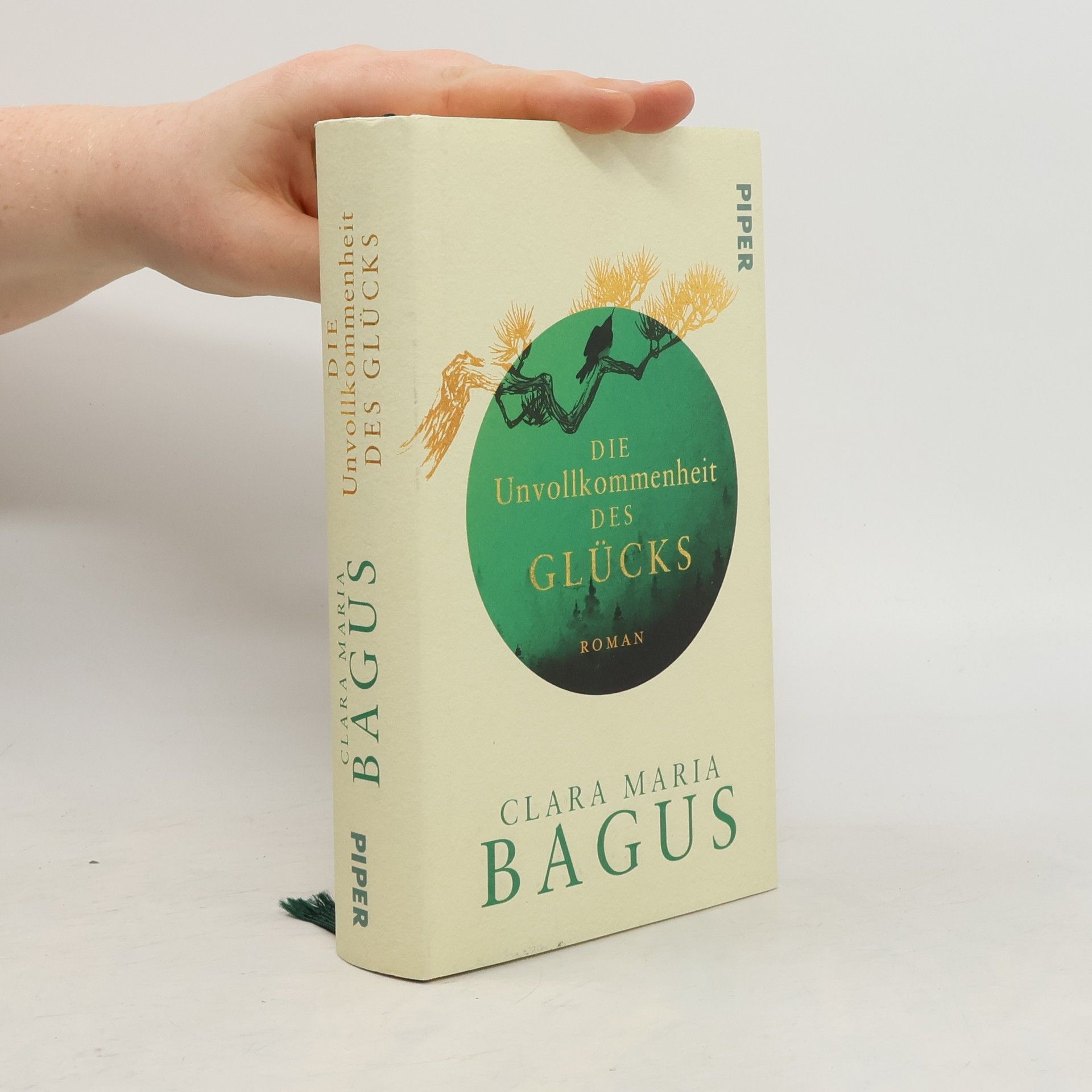 Clara Maria Bagus Die Unvollkommenheit des Glücks