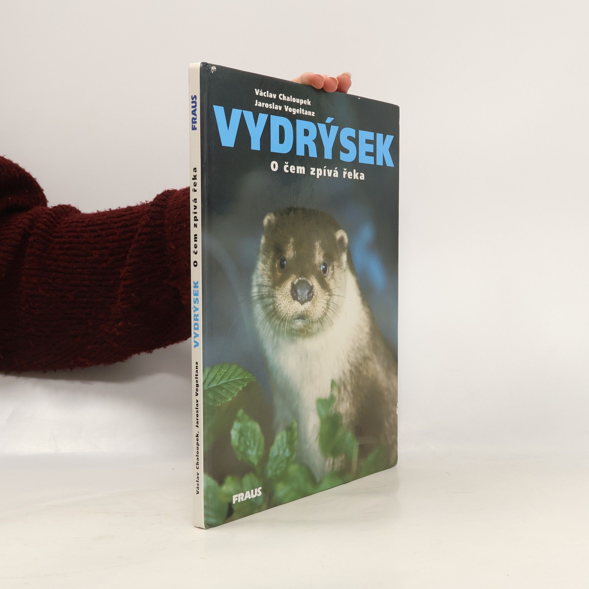 Jaroslav Vogeltanz Vydrýsek. O čem zpívá řeka