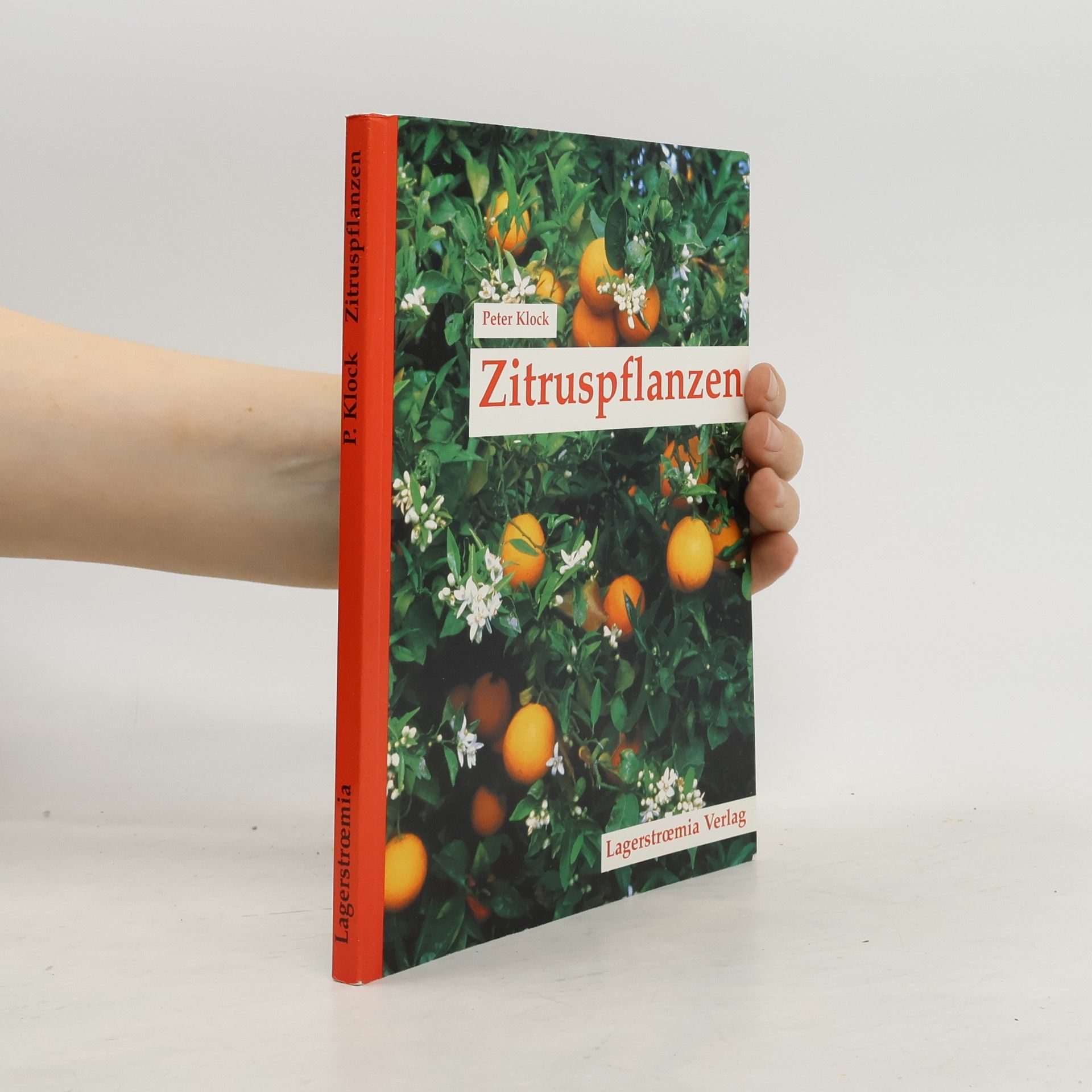 Peter Klock Zitruspflanzen