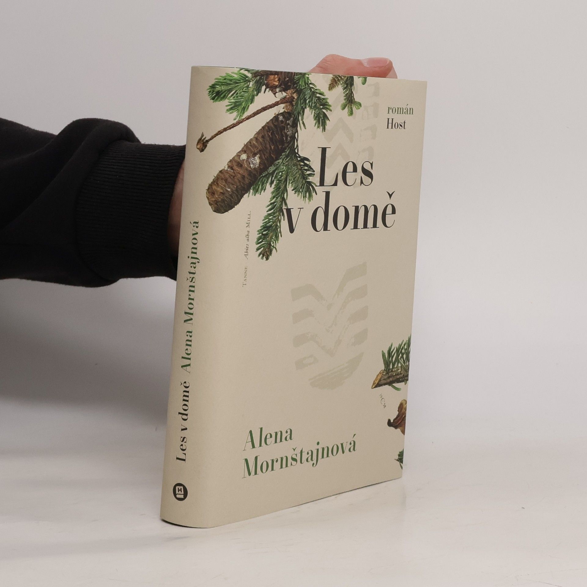 Alena Mornštajnová Les v domě