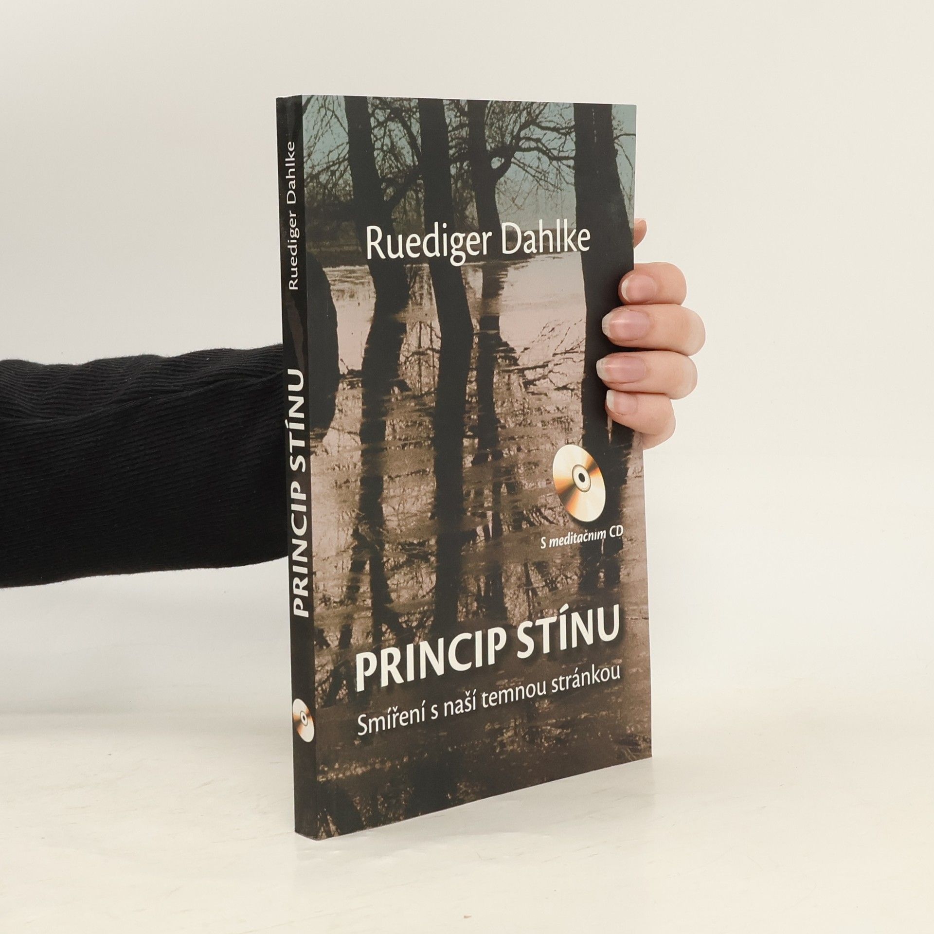 Ruediger Dahlke Princip stínu: Smíření s naší temnou stránkou