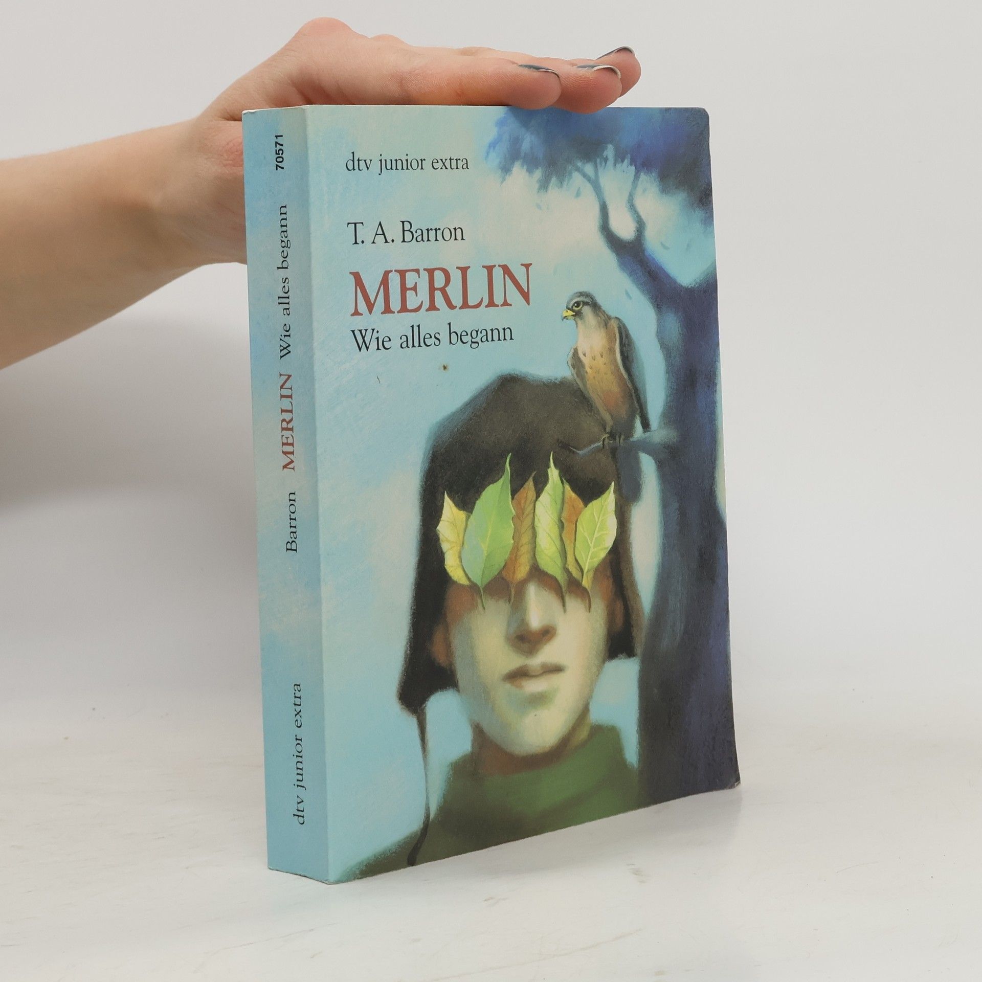 T. A. Barron Merlin. Wie alles begann