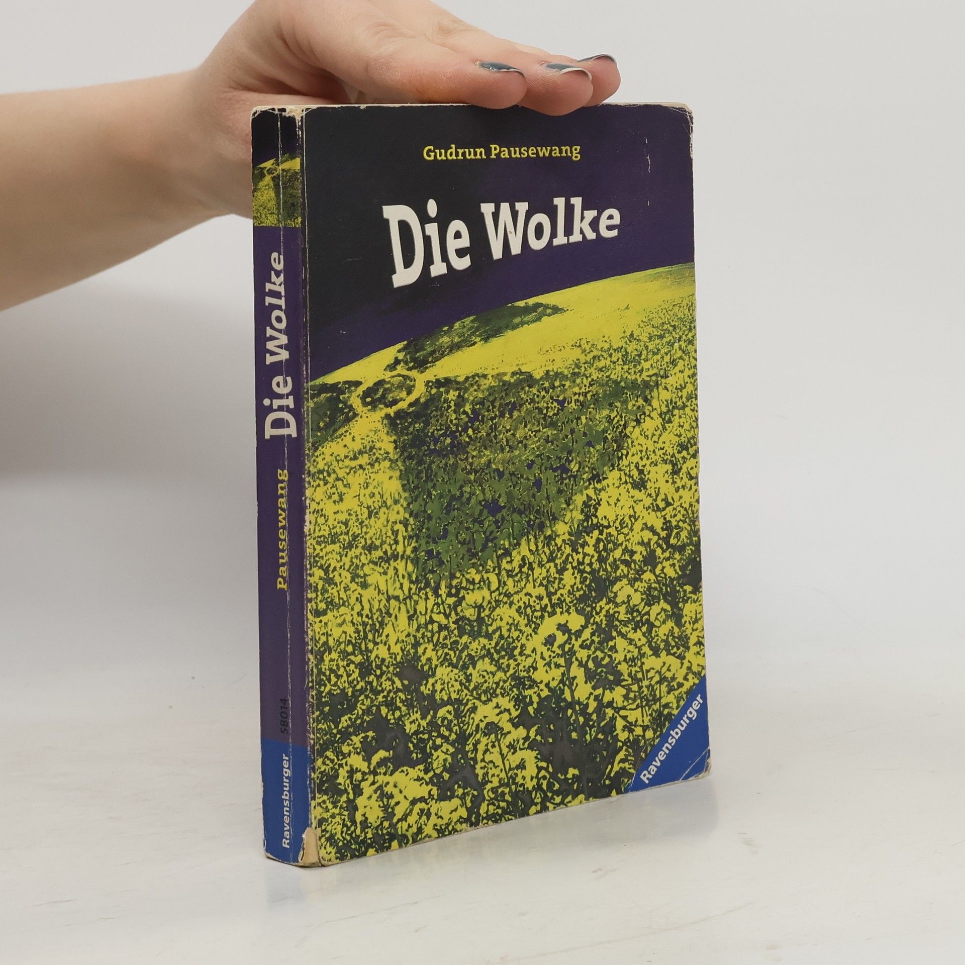 Gudrun Pausenwang Die Wolke