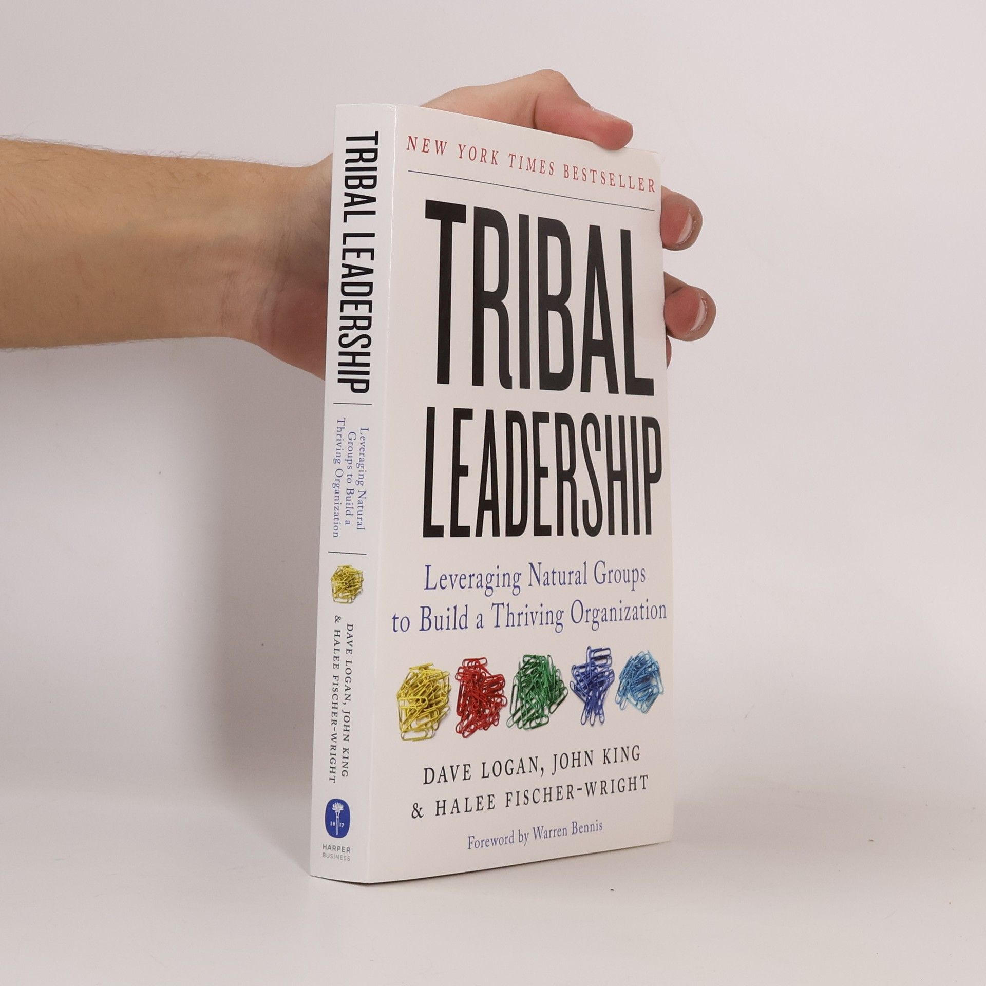 Dave Logan Tribal Leadership