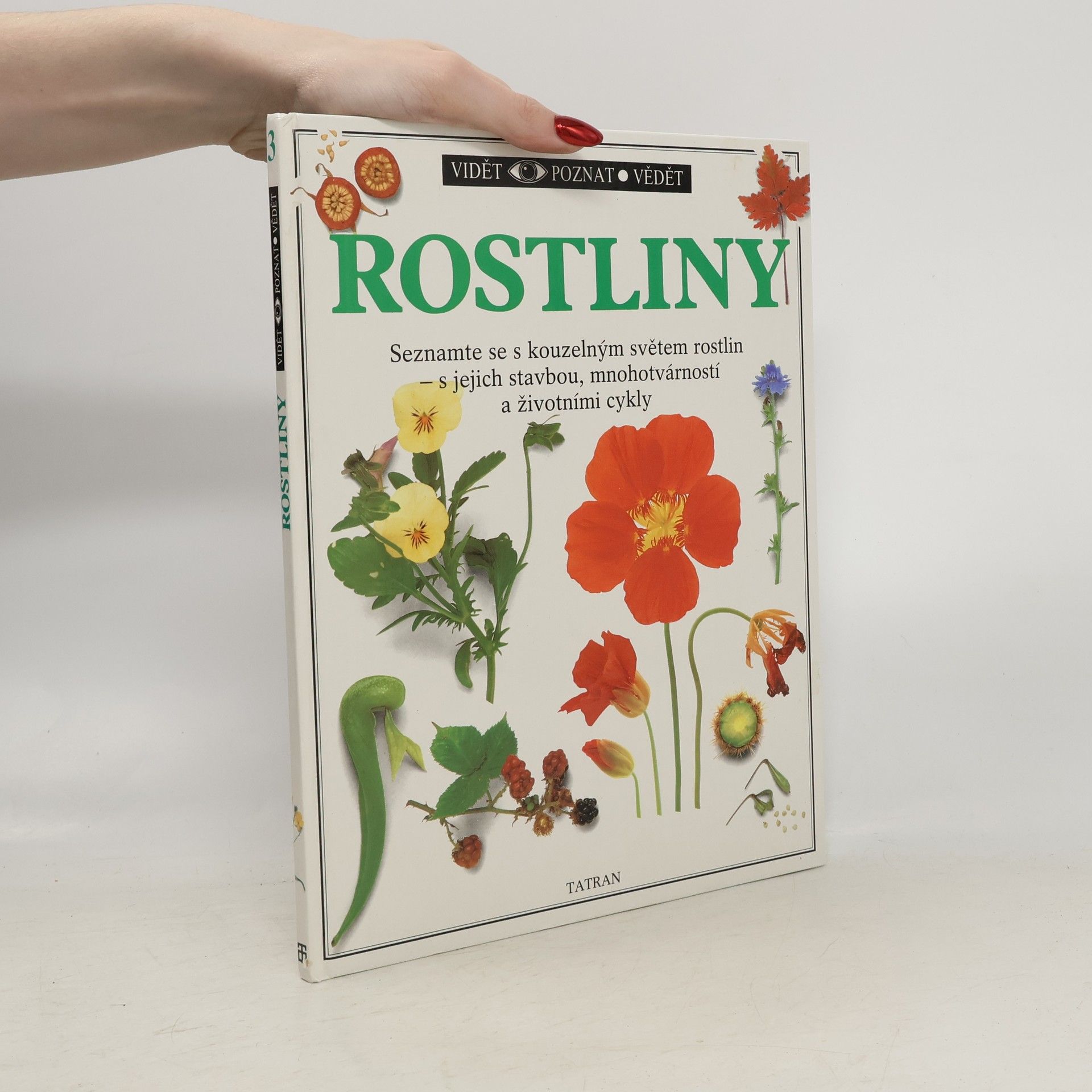 Rostliny