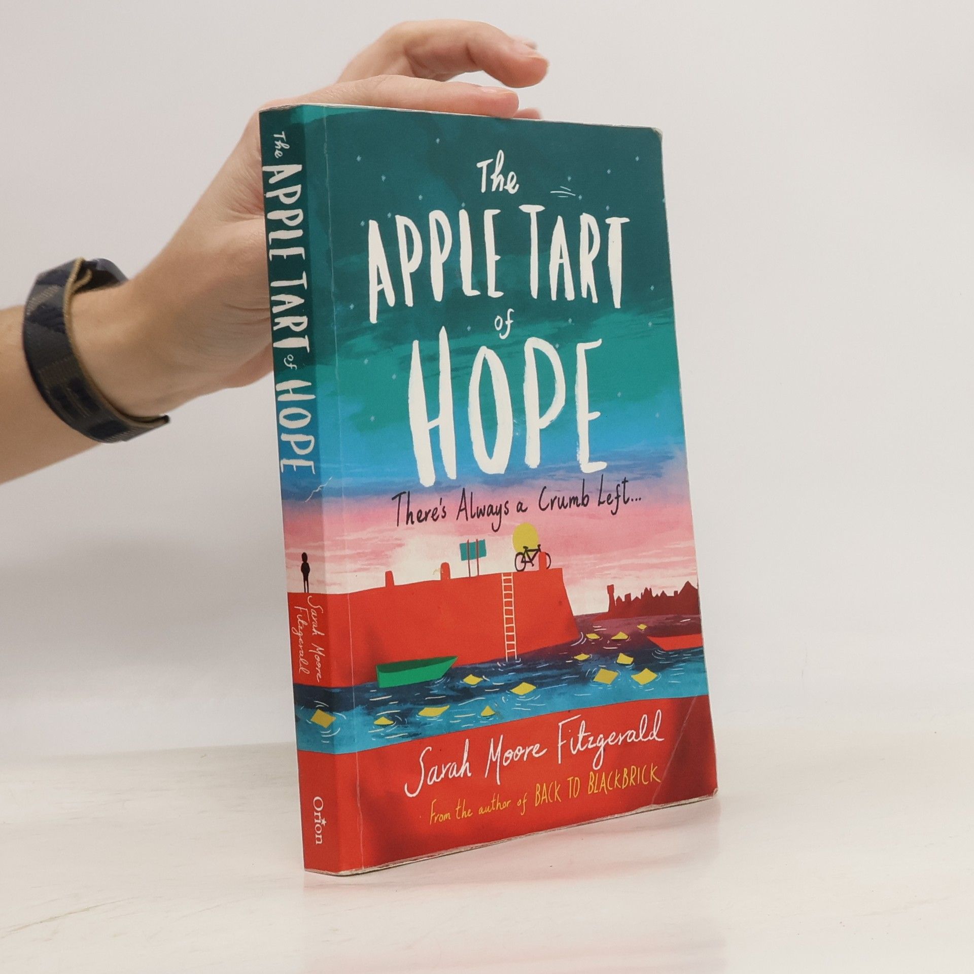 Sarah M. Fitzgerald The Apple Tart of Hope. Das Apfelkuchenwunder oder Die Logik des Verschwindens, englische Ausgabe