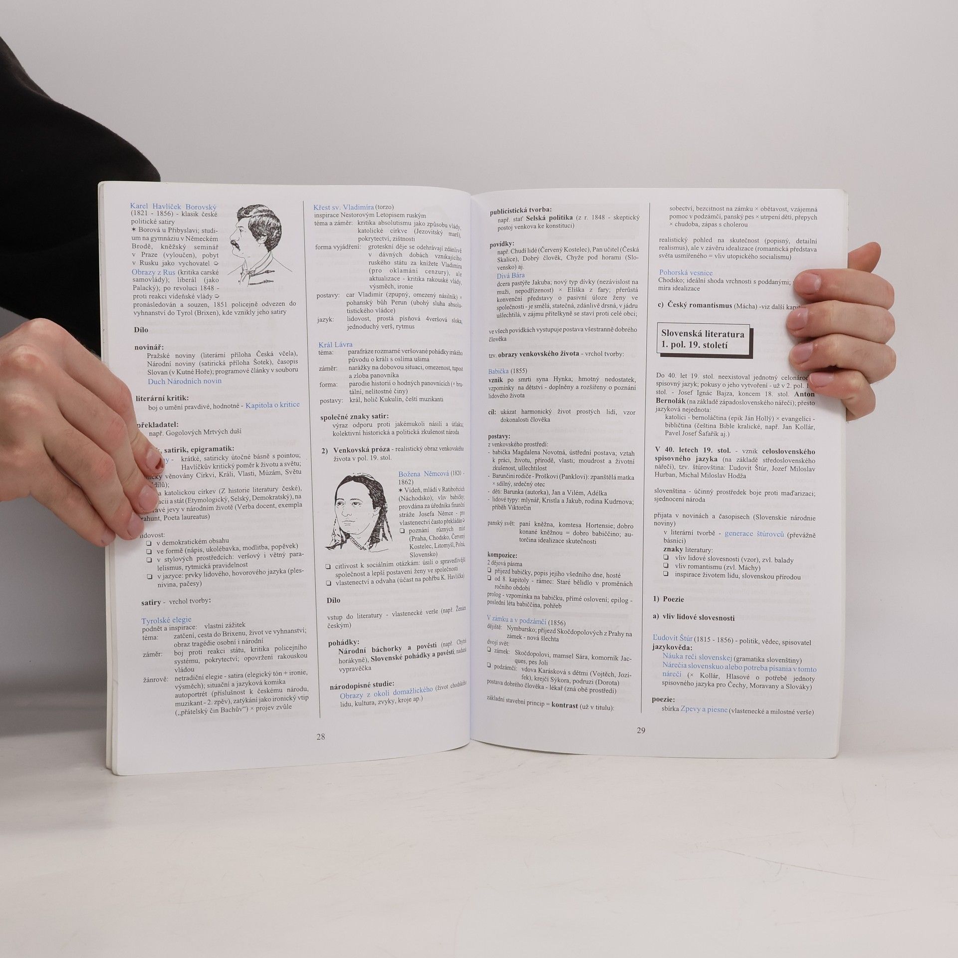 Marie Sochrová Literatura v kostce pro střední školy