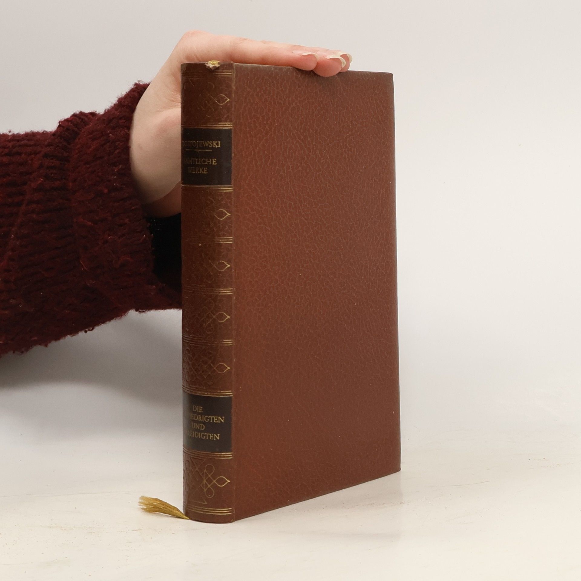 Fyodor Dostoyevsky Sämtliche Werke. Die Erniedrigten und Beleidigten