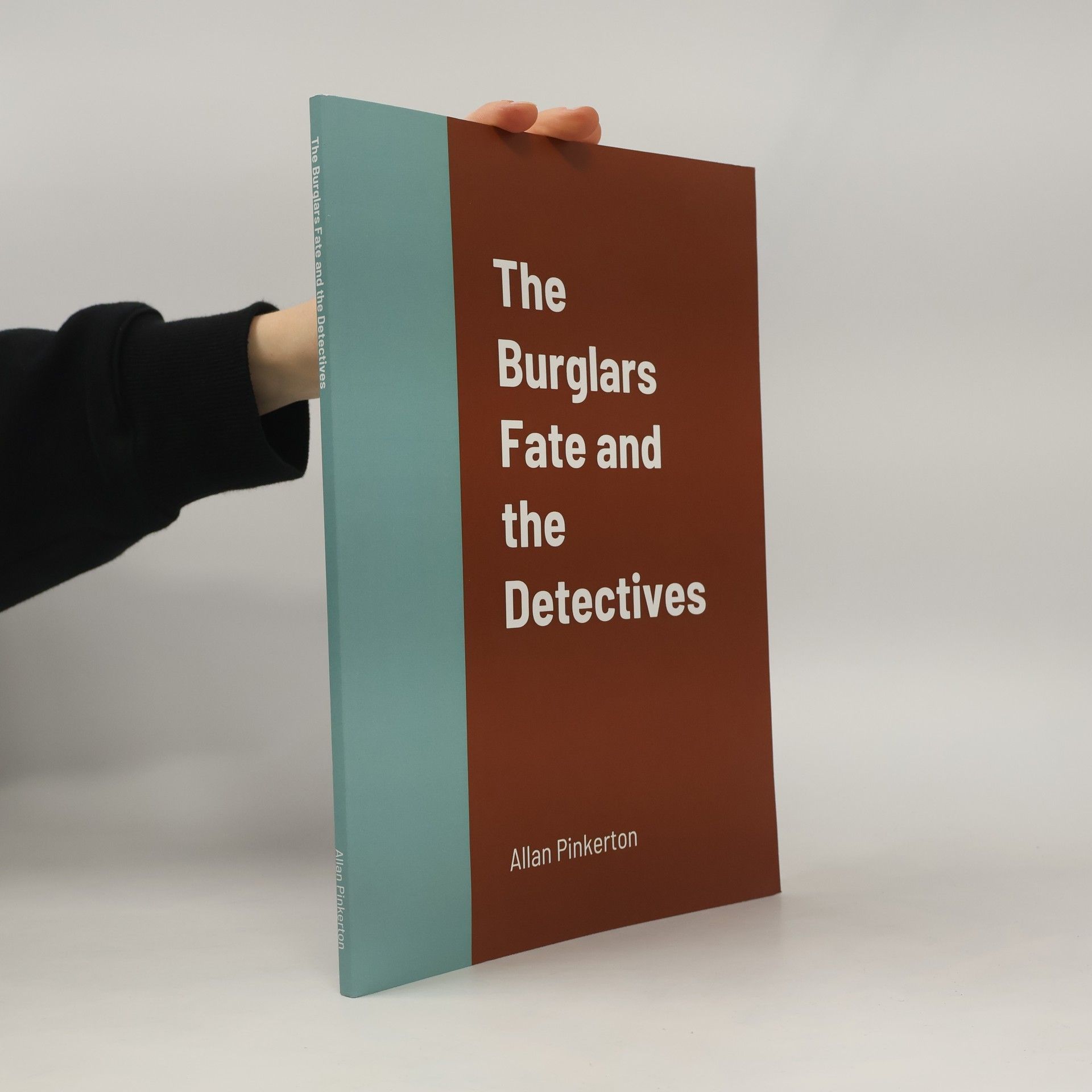Allan Pinkerton The Burglars Fate and the Detectives