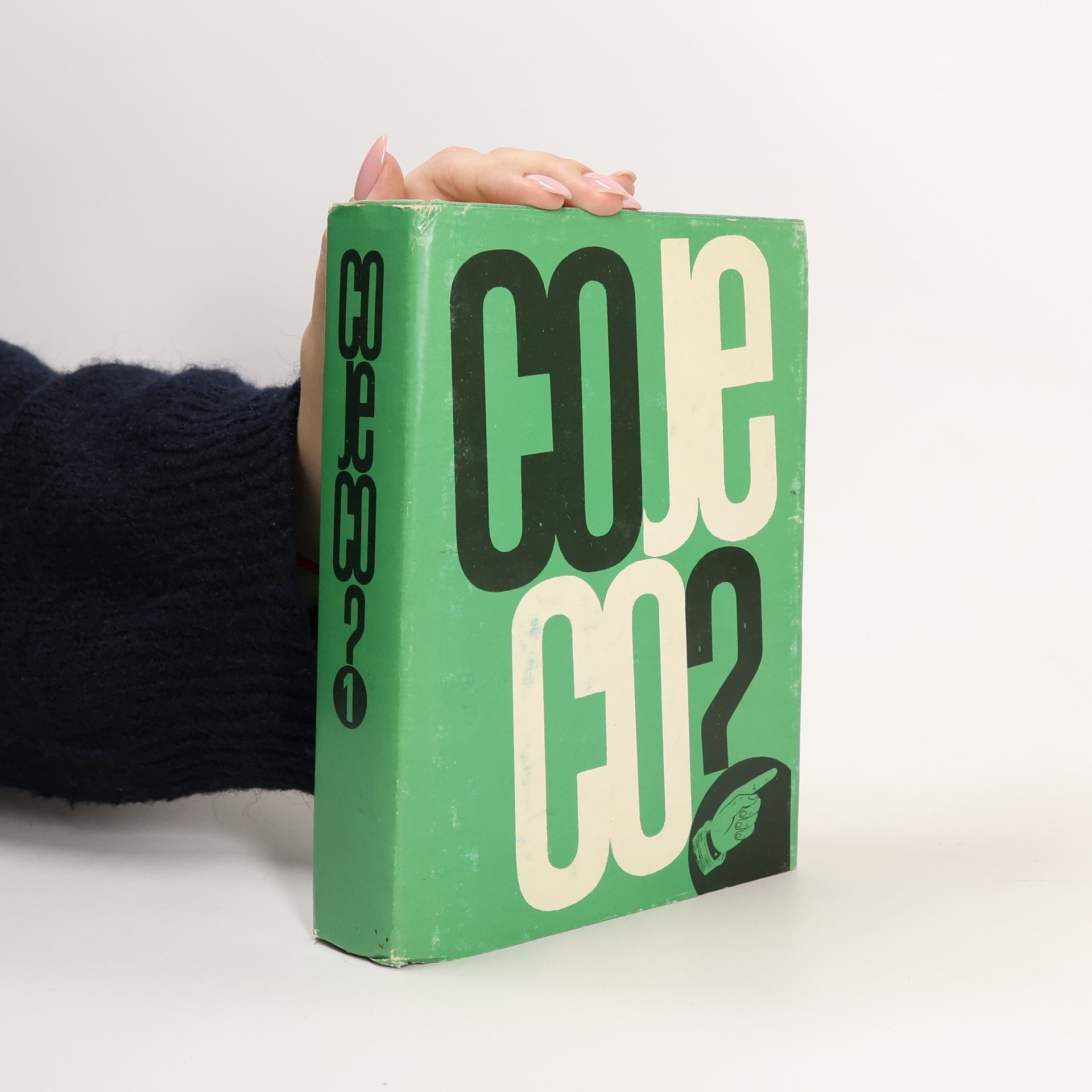 Roman Reisenauer Co je co? 1 Příručka pro každý den