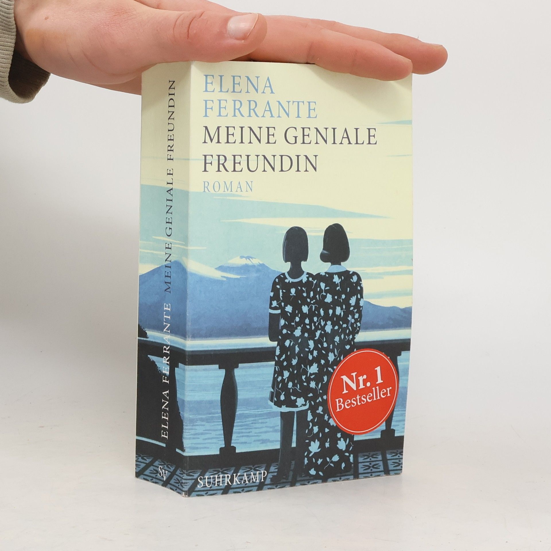 Elena Ferrante Meine geniale Freundin