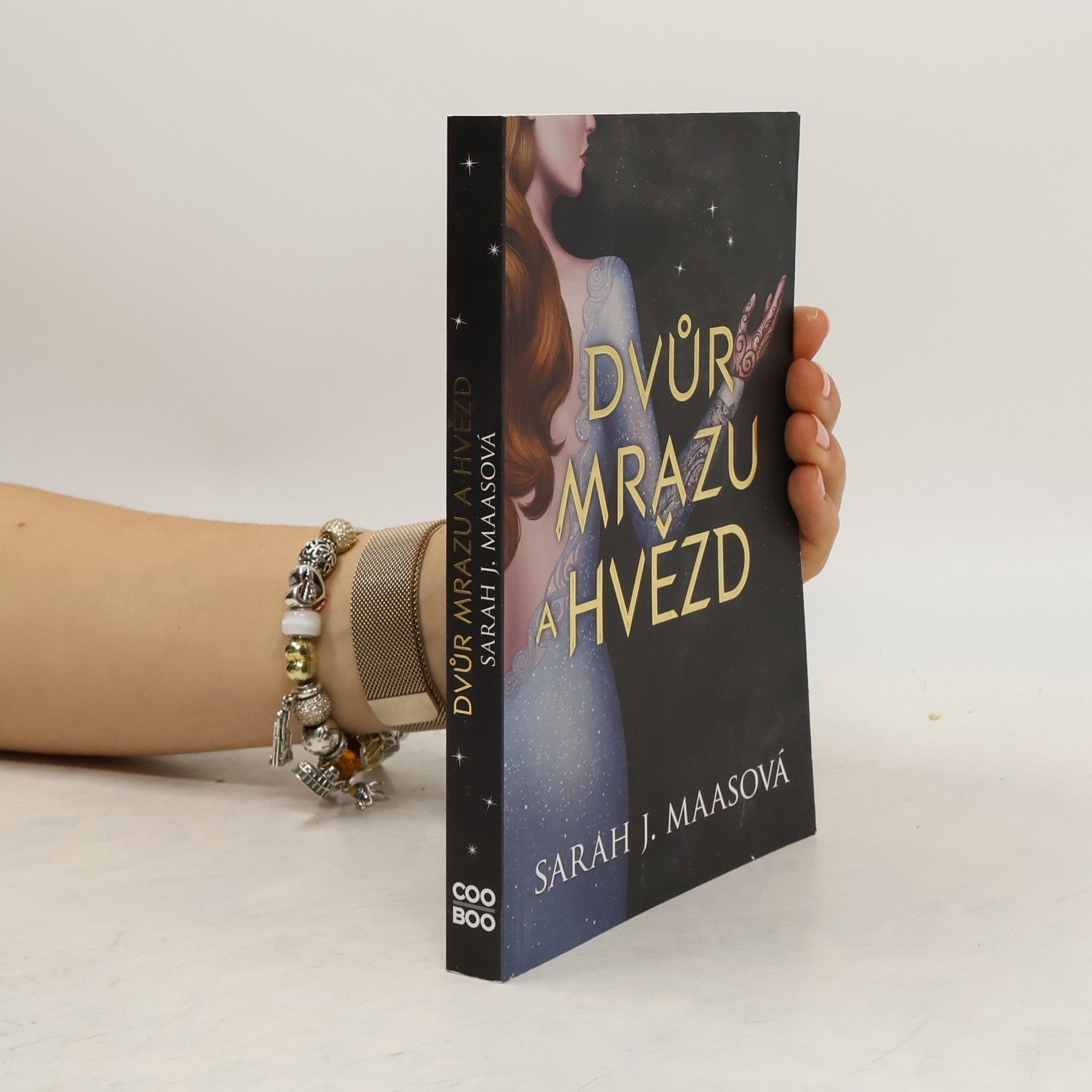 Sarah J. Maas Dvůr mrazu a hvězd