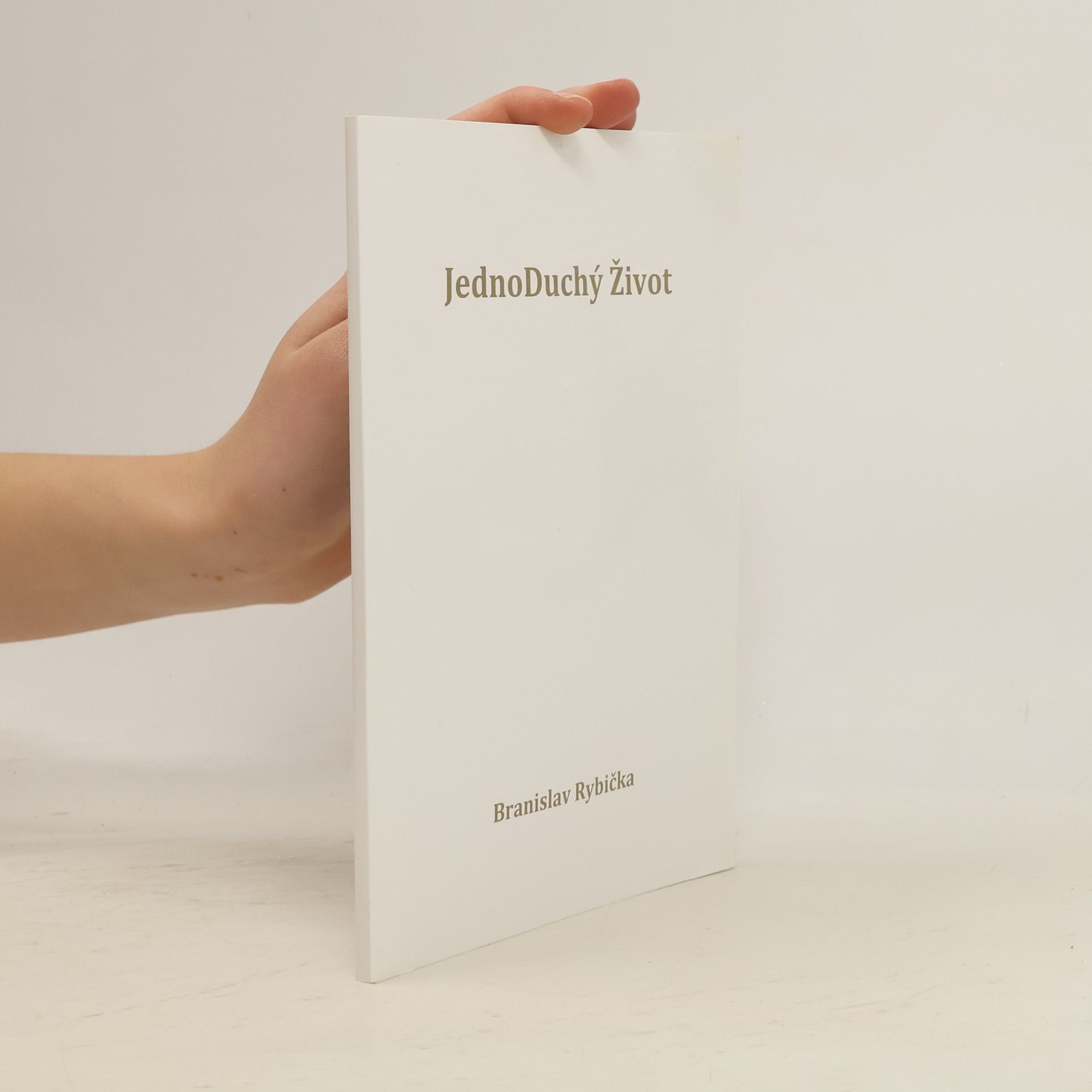Branislav Rybička JednoDuchý Život