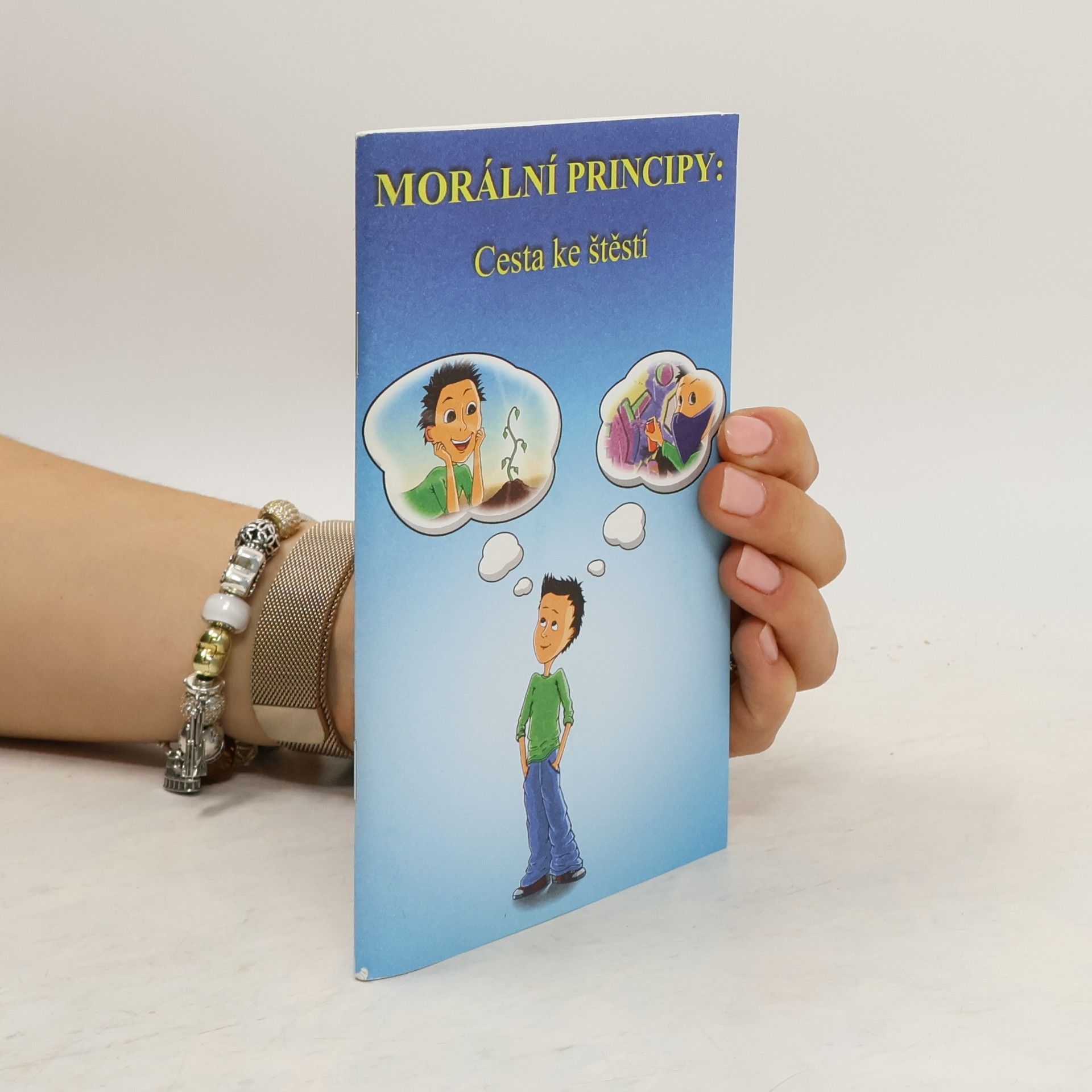 Autores varios Morální principy. Cesta ke štěstí.