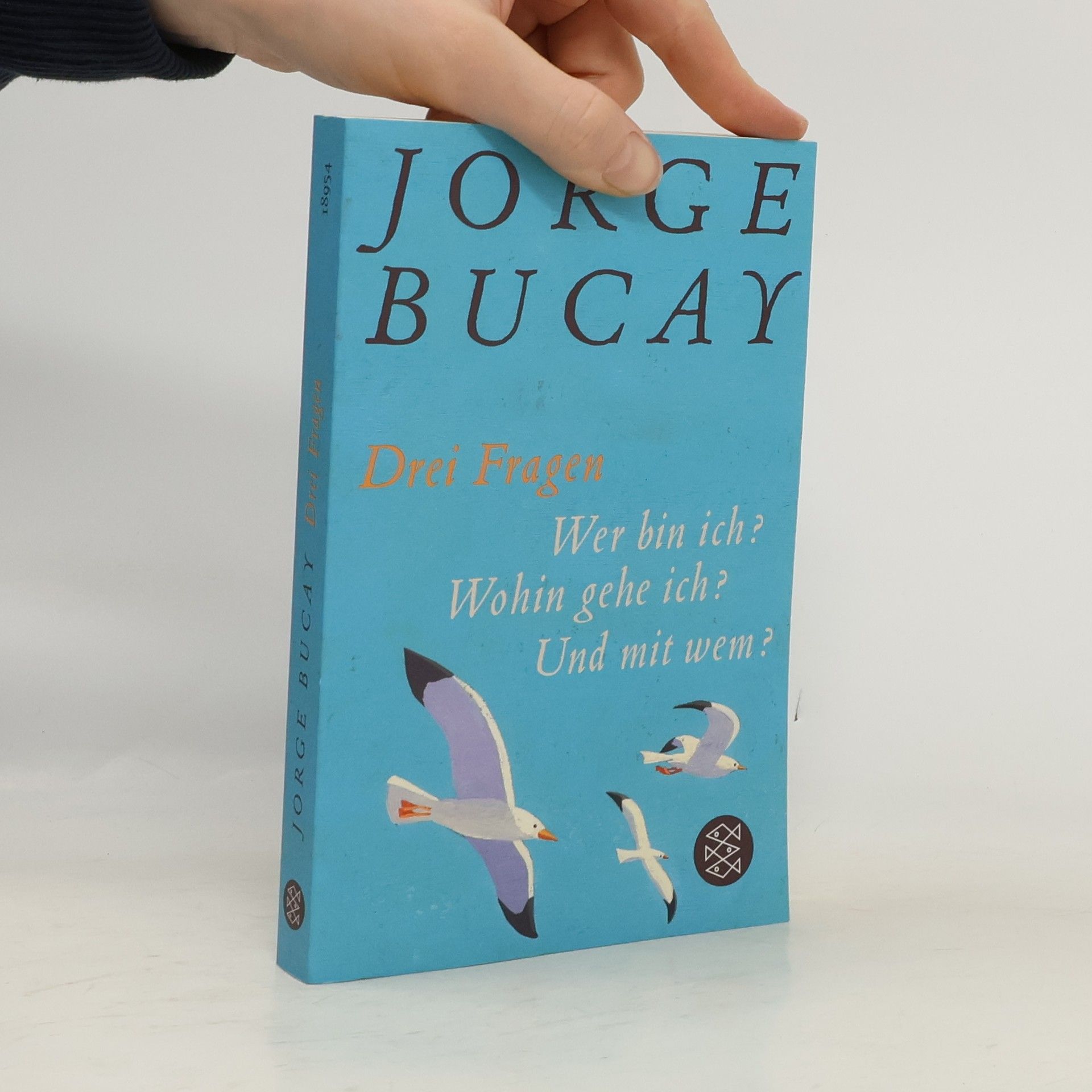 Jorge Bucay Drei Fragen