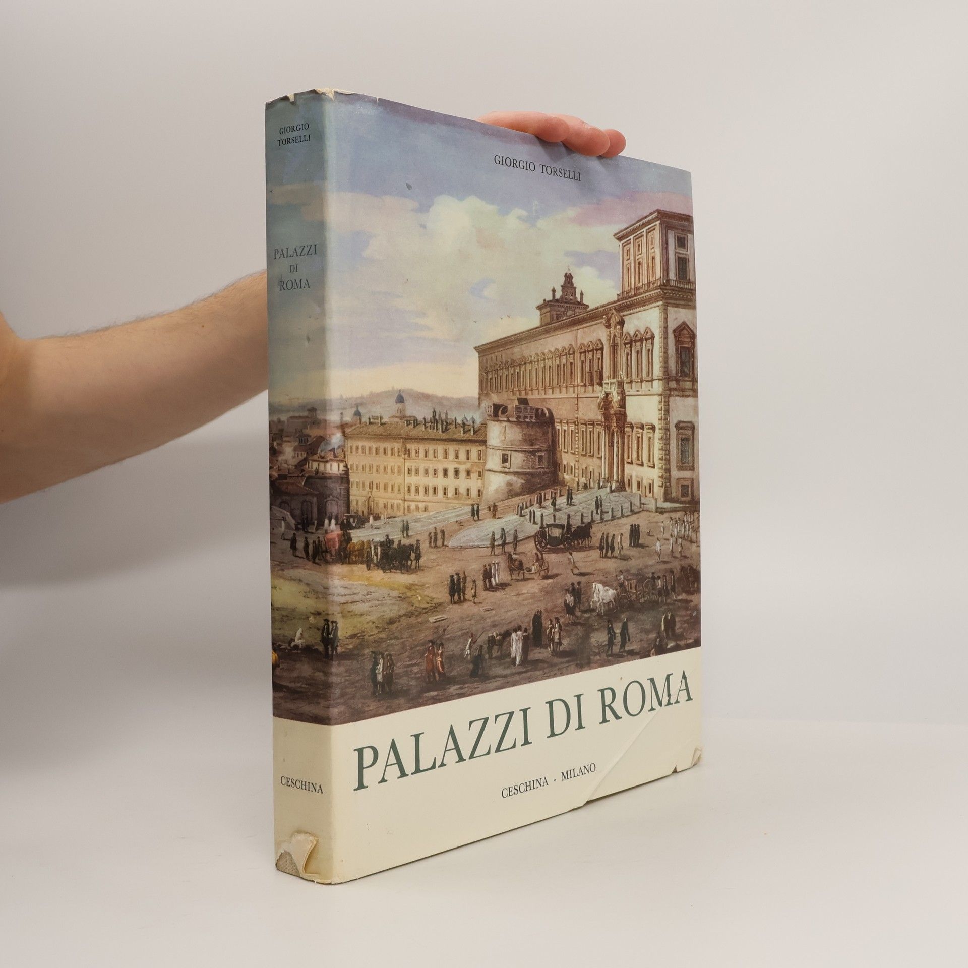 Giorgio Carpaneto I palazzi di Roma