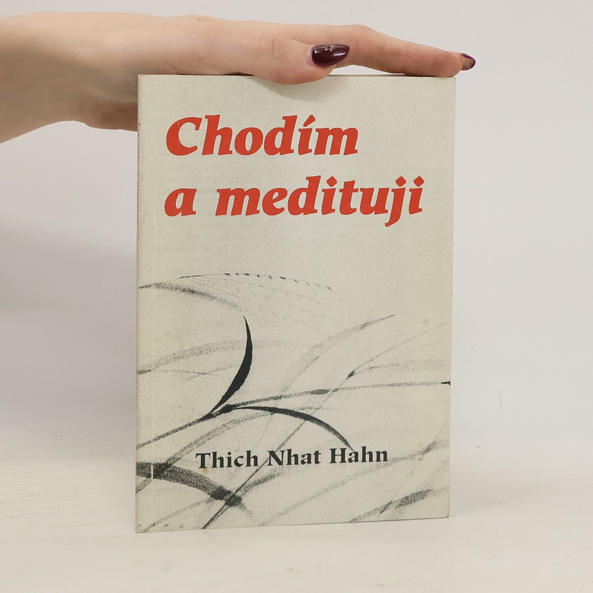 Hạnh Nhat Chodím a medituji