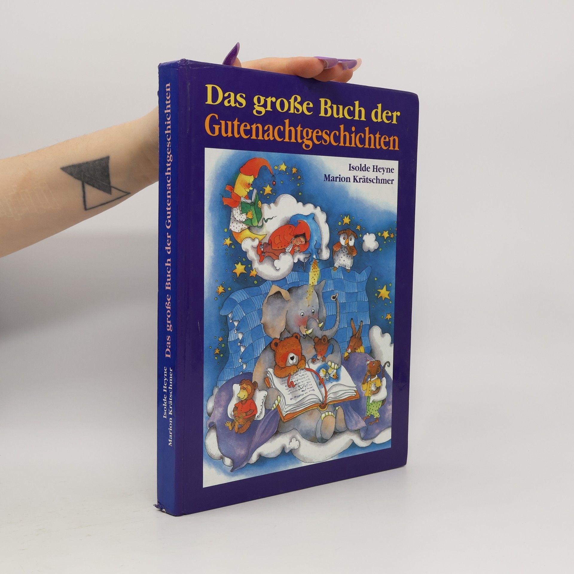 Isolde Heyne Das große Buch der Gutenachtgeschichten