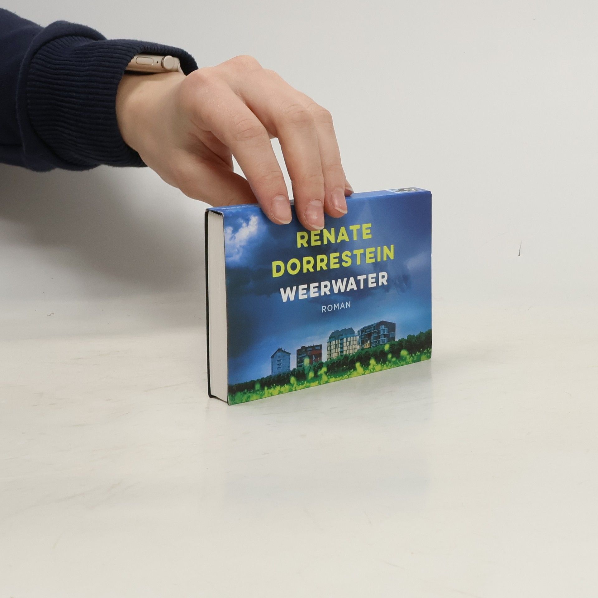 Renate Dorrestein Weerwater