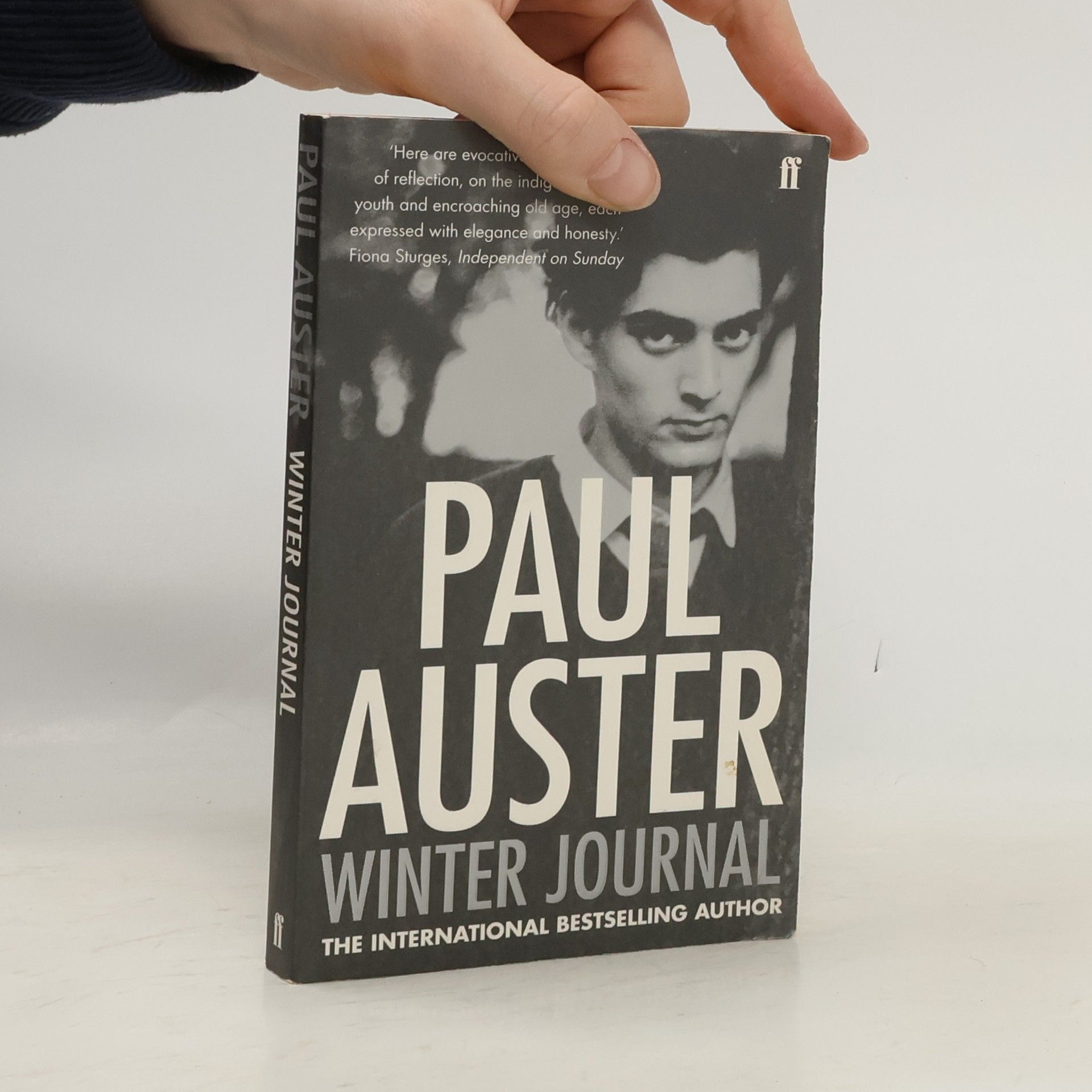 Paul Auster Winter journal