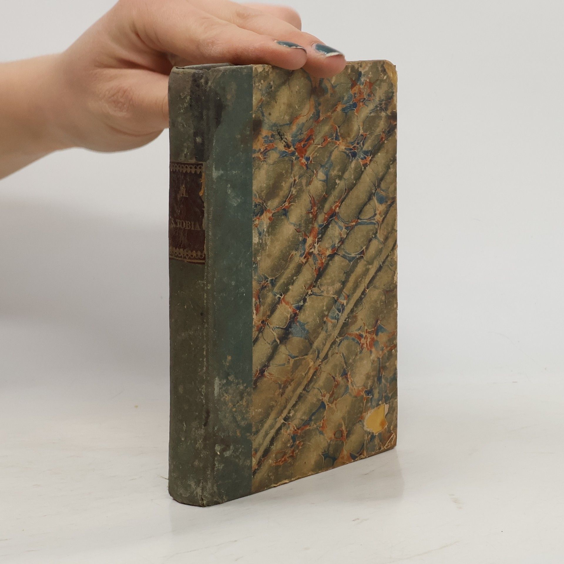 Tommaso di Cireglio Il Santo Tobia