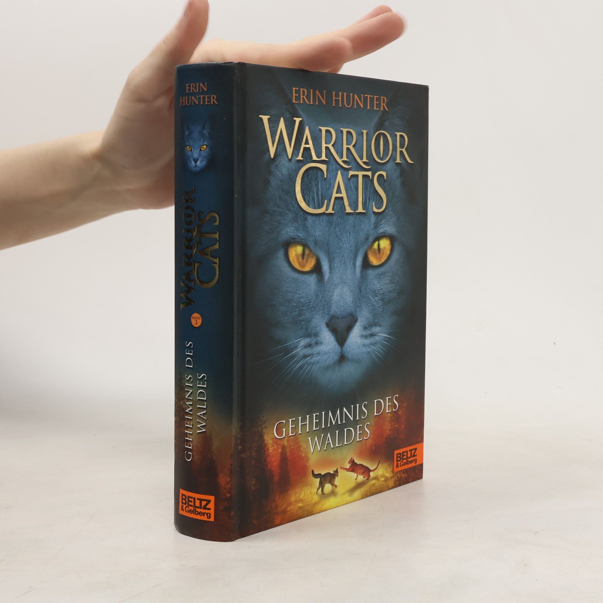 Erin Hunter Warrior Cats. Geheimnis des Waldes.