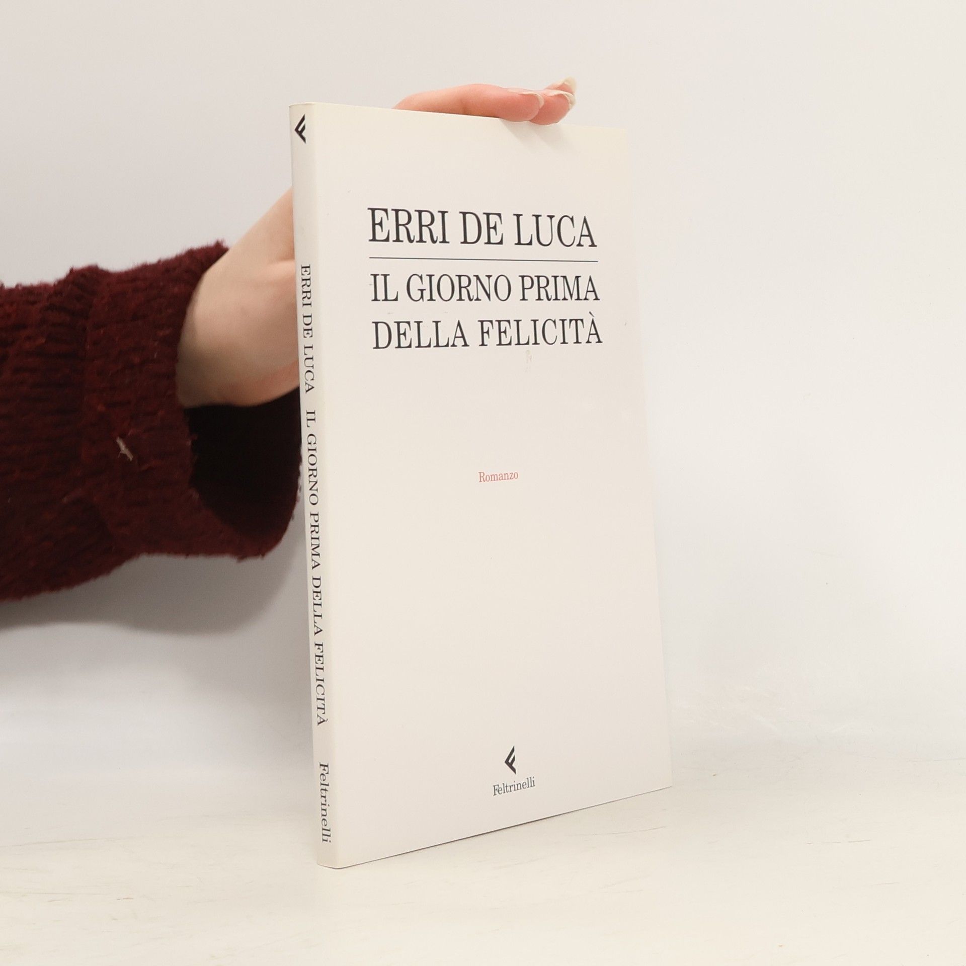 Erri De Luca Il giorno prima della felicità. Romanzo