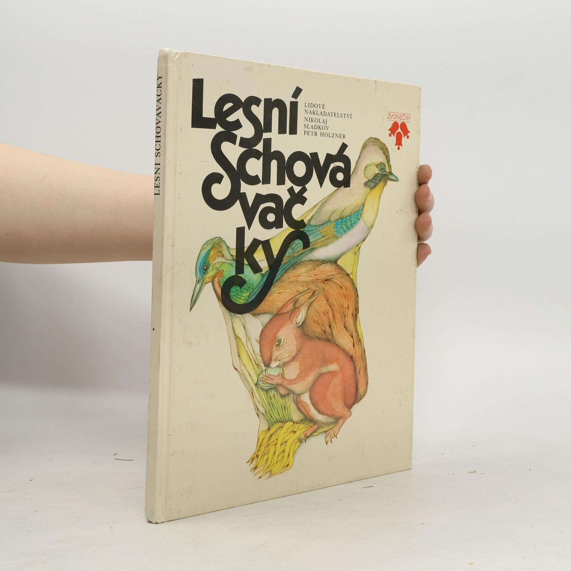 Lesní schovávačky