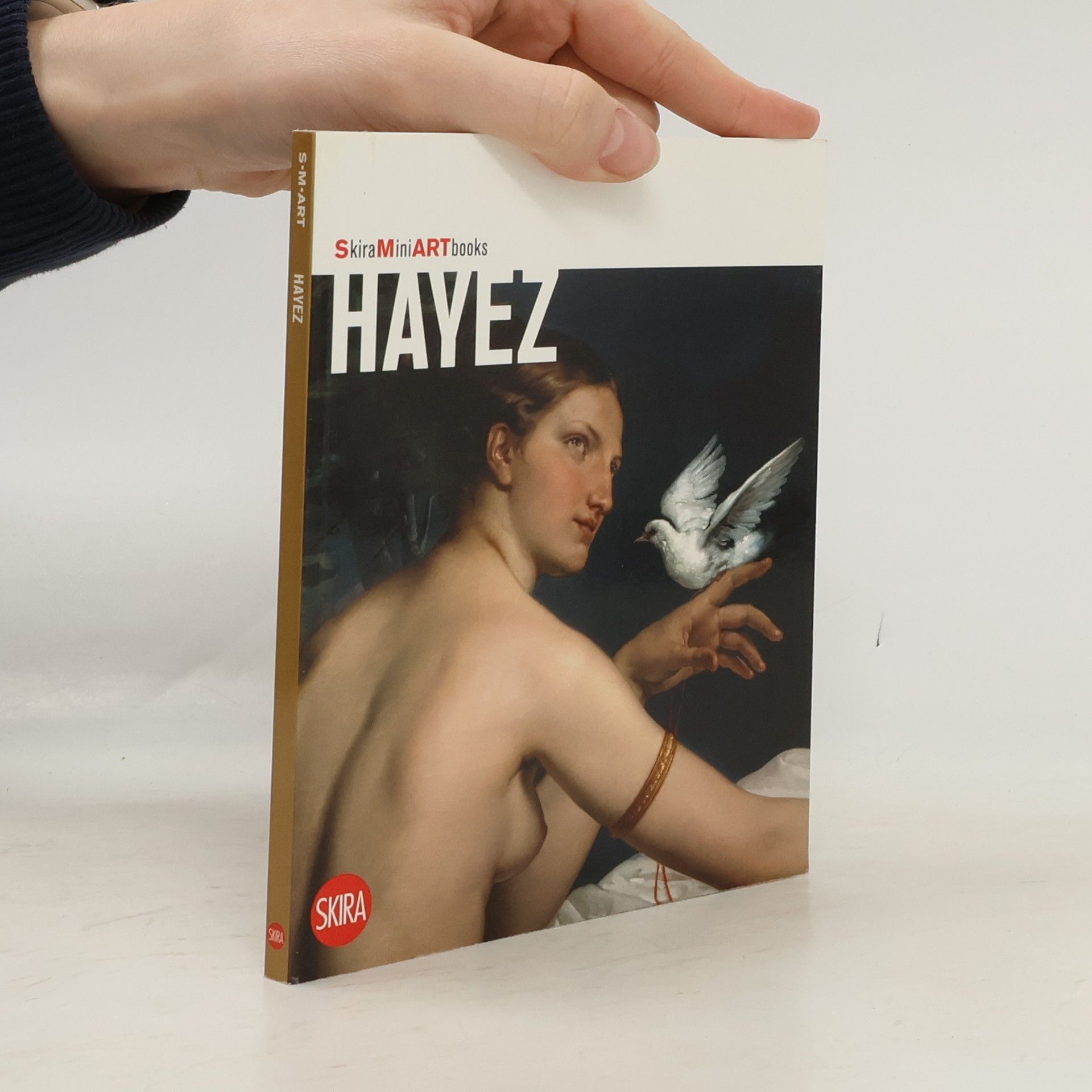 Flaminio Gualdoni Skira Mini Art Books: Hayez