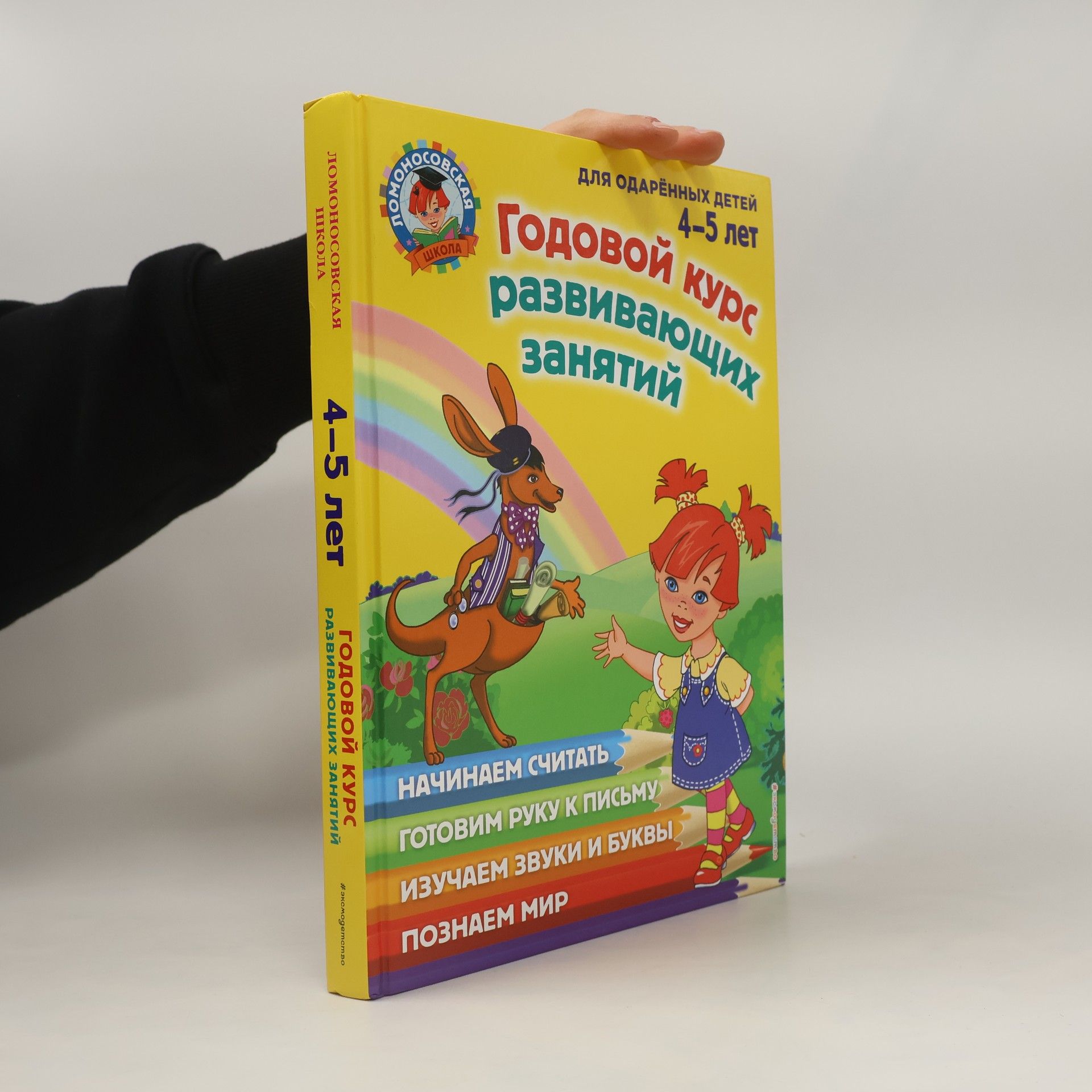 Наталья Владимировна Володина Годовой курс развивающих занятий