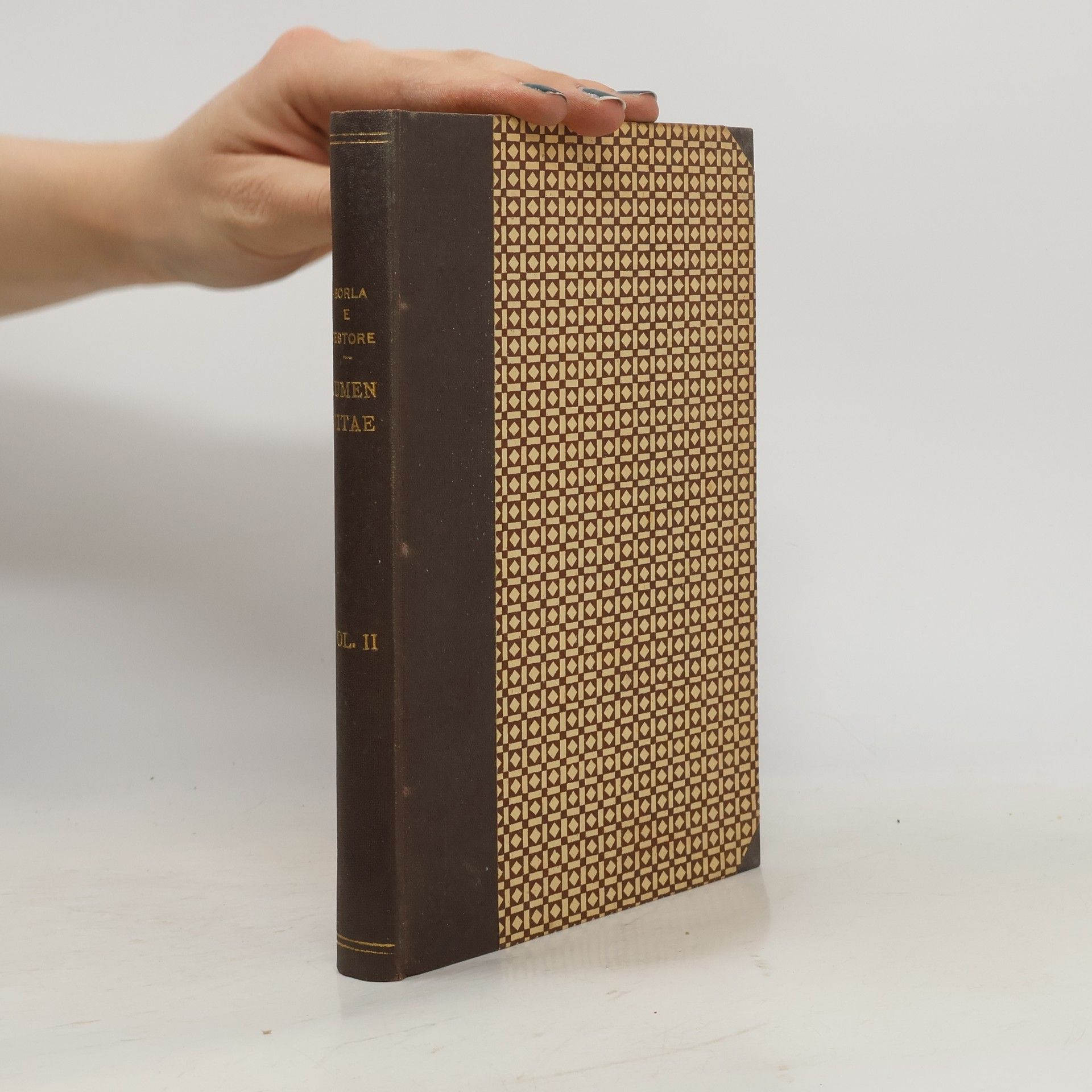 Borla a Testore Lumen Vitae II