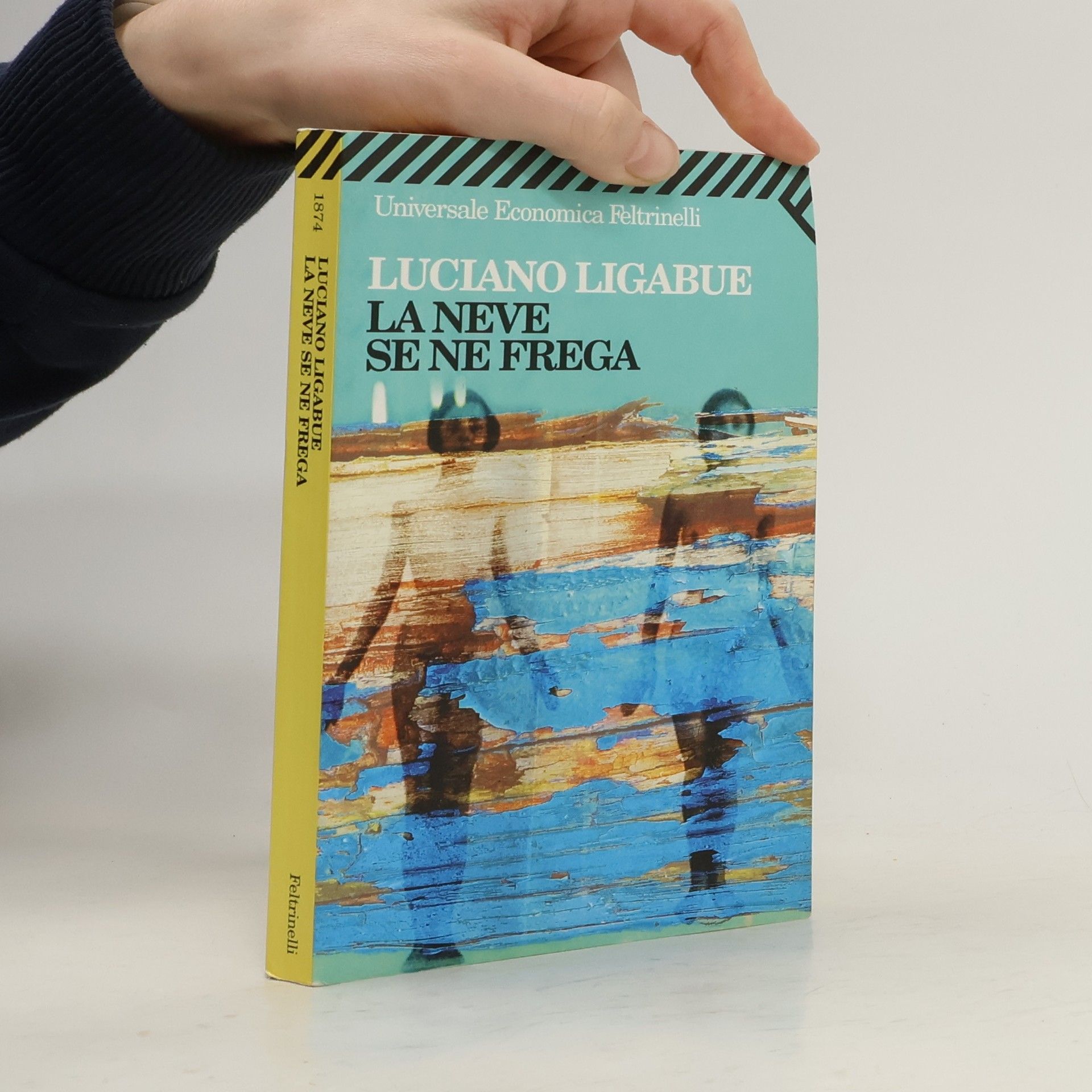 Luciano Ligabue La neve se ne frega