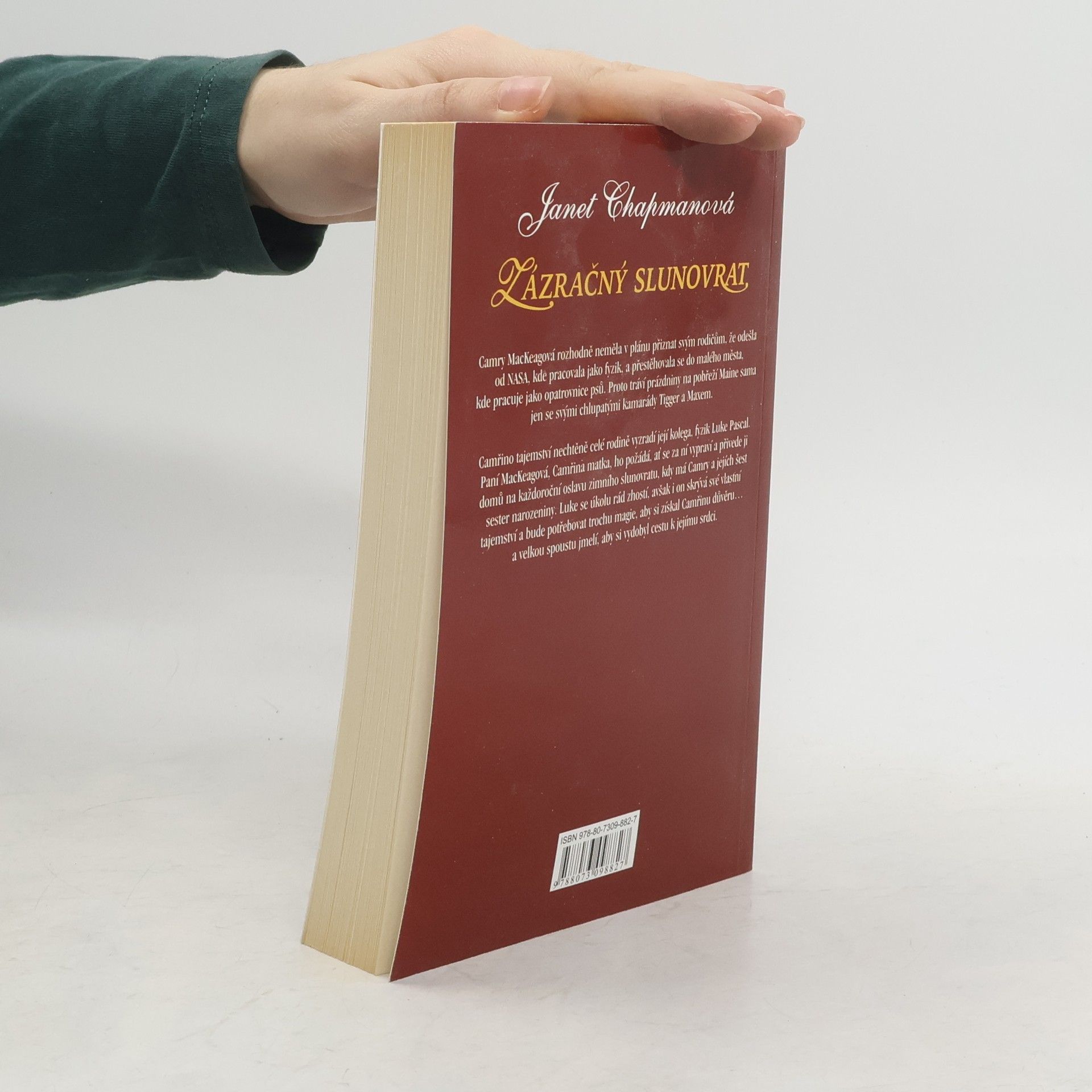 Janet Chapman Zázračný slunovrat