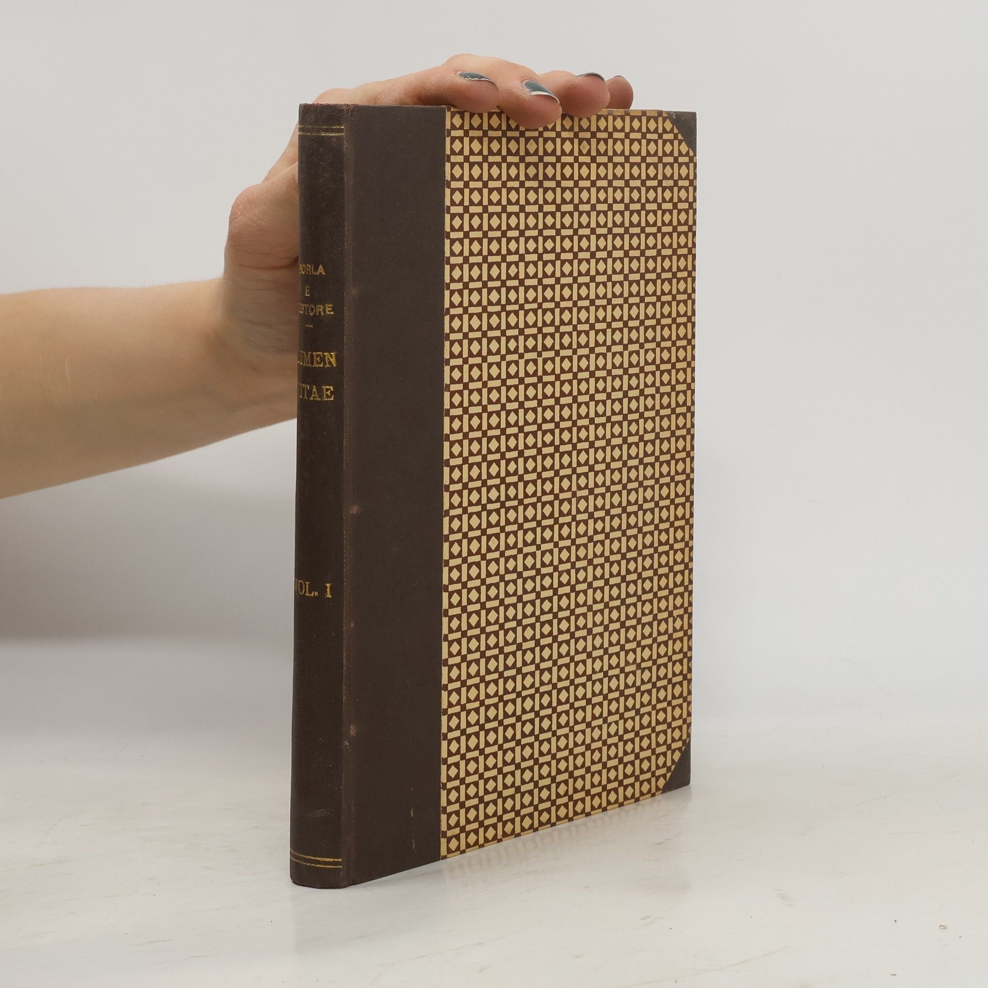 Borla a Testore Lumen Vitae I