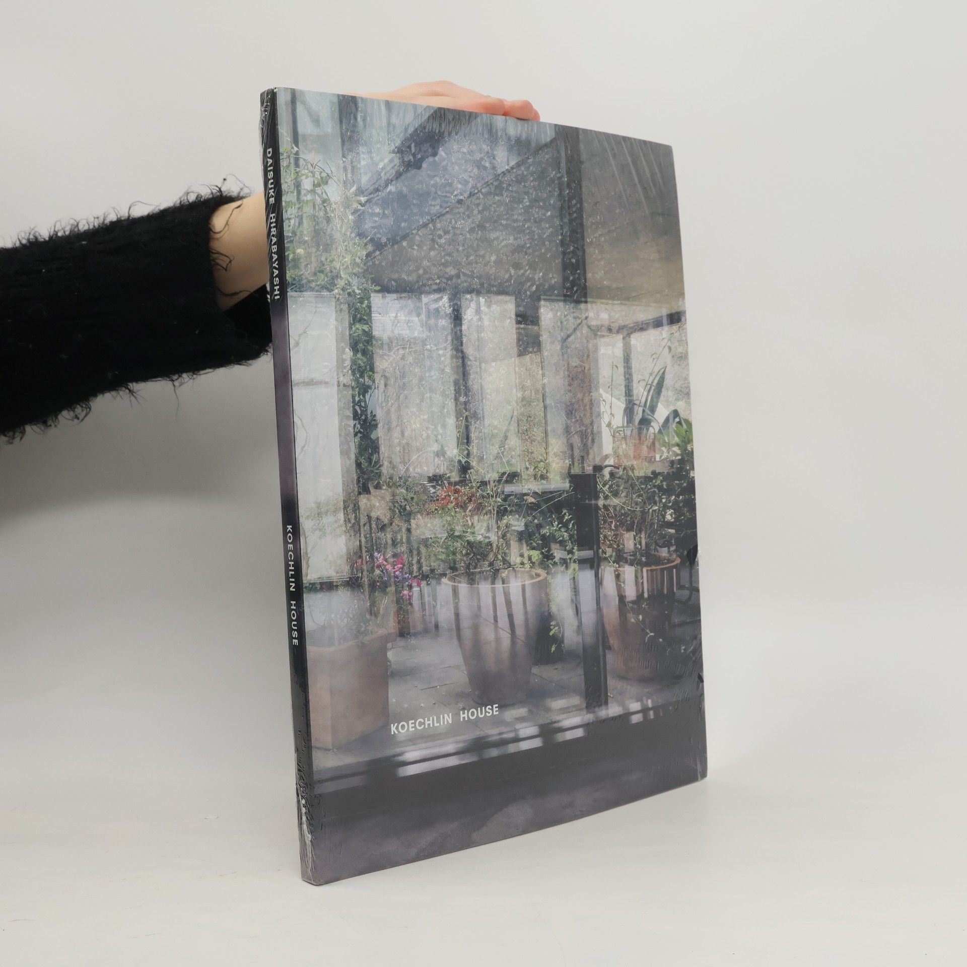 Daisuke Hirabayashi Koechlin House