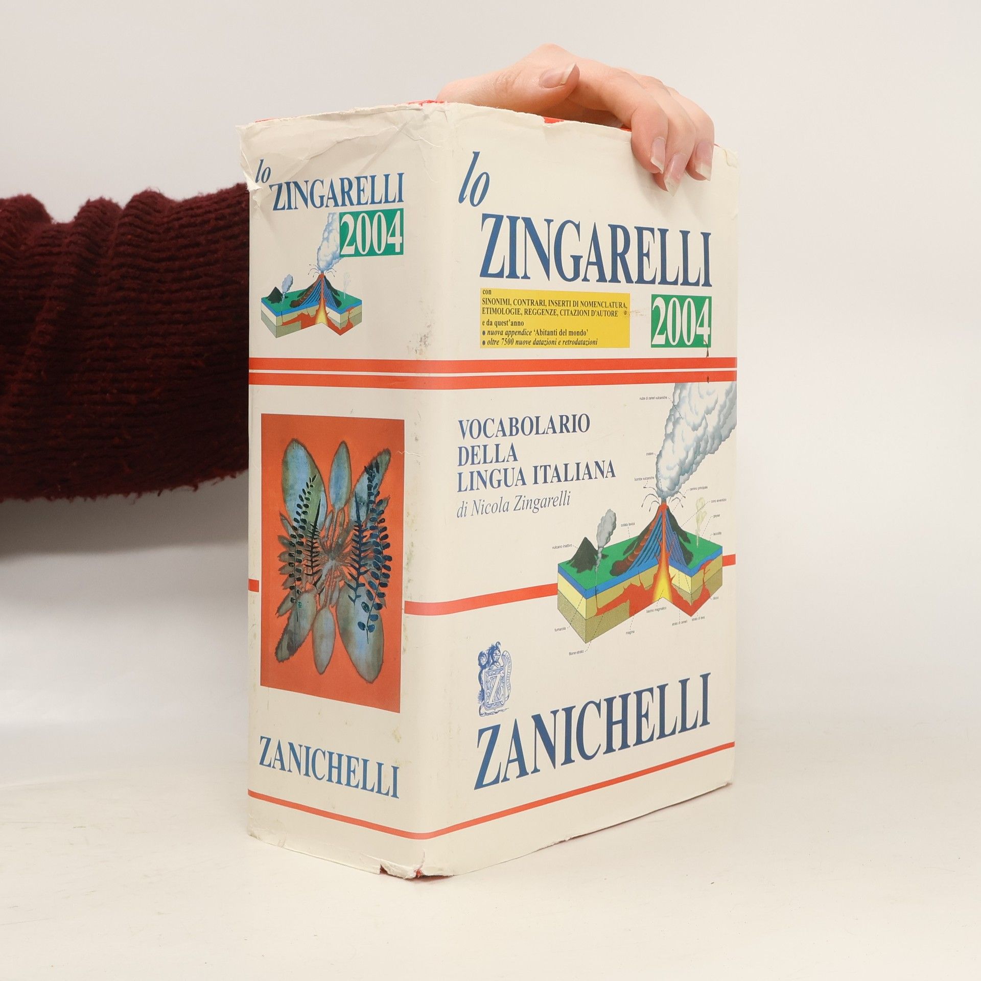 Zingarelli Nicola Lo Zingarelli