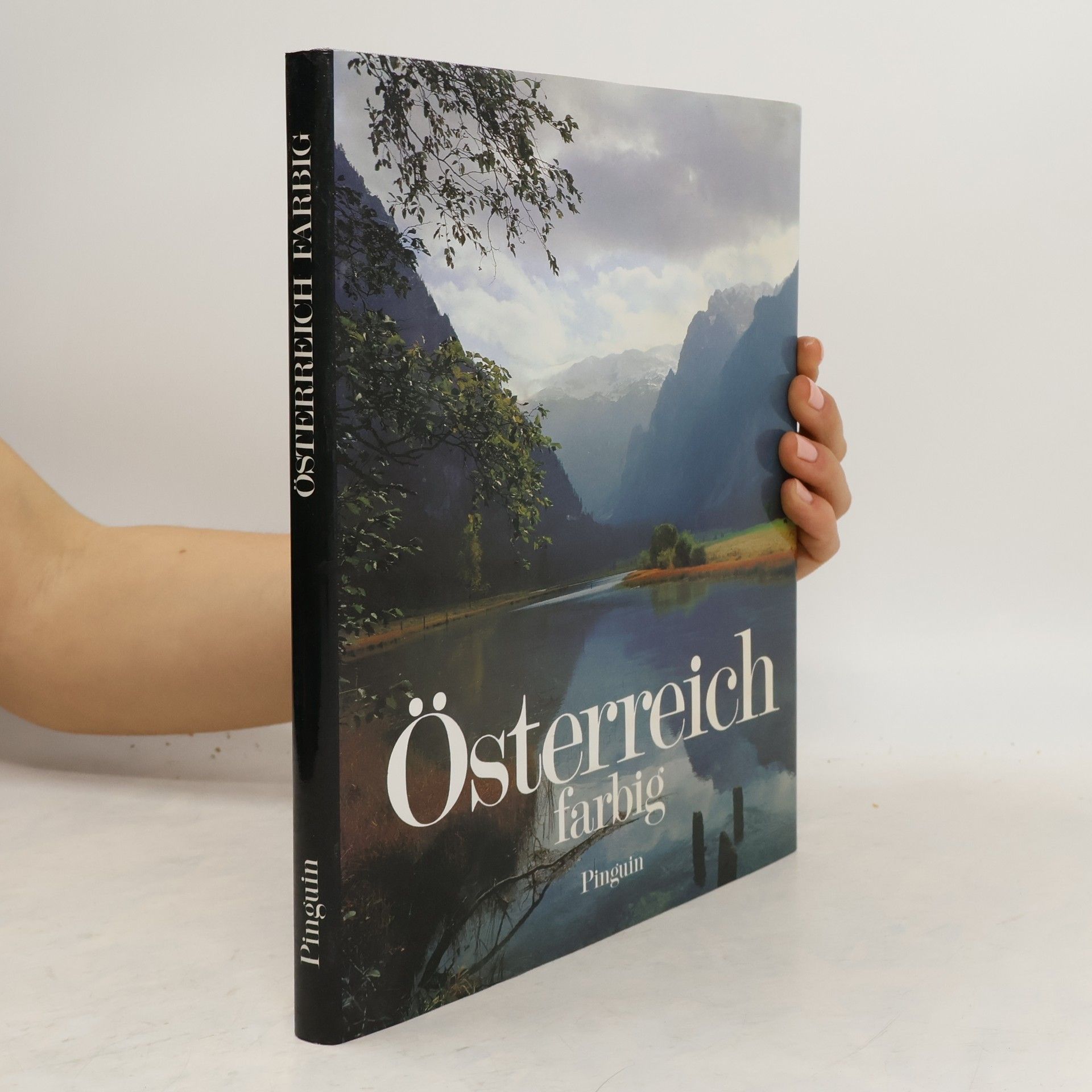 Heinz Schiebenpflug Österreich farbig