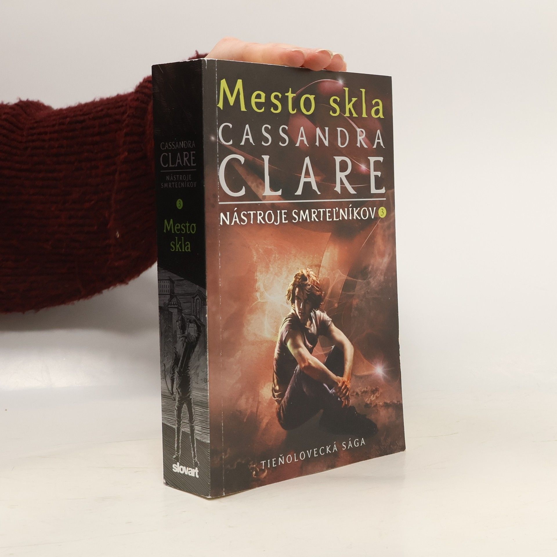 Cassandra Clare Mesto skla