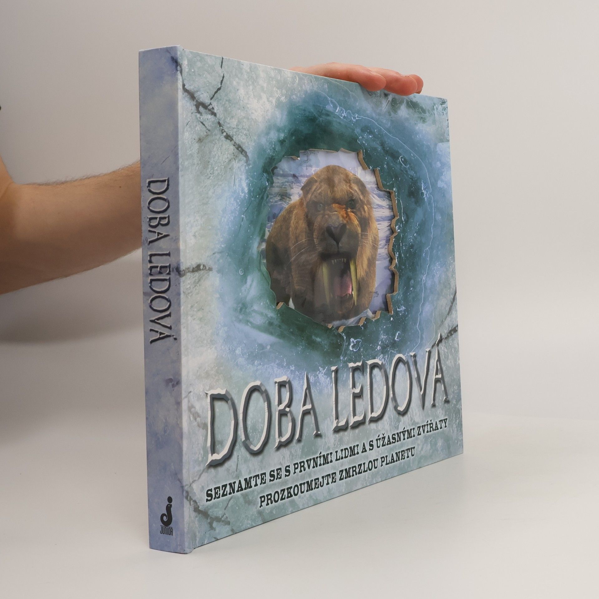 Stewart Ross Doba ledová: Seznamte se s prvními lidmi a s úžasnými zvířaty, prozkoumejte zmrzlou planetu