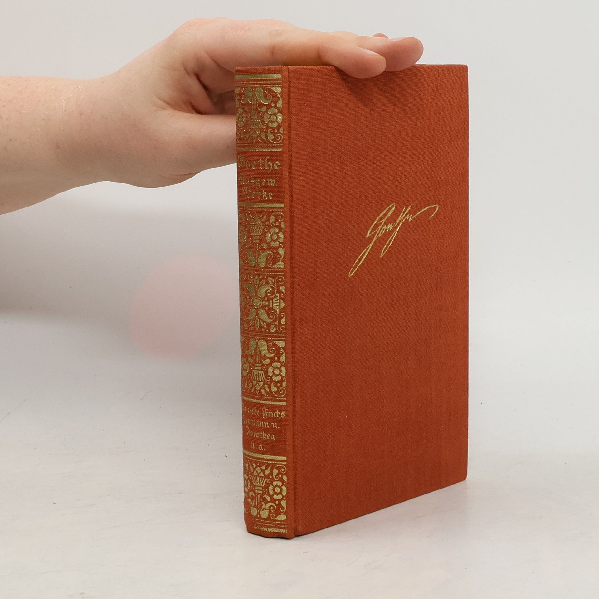 Johann Wolfgang von Goethe Ausgewählte Werke im 12 Doppelbänden