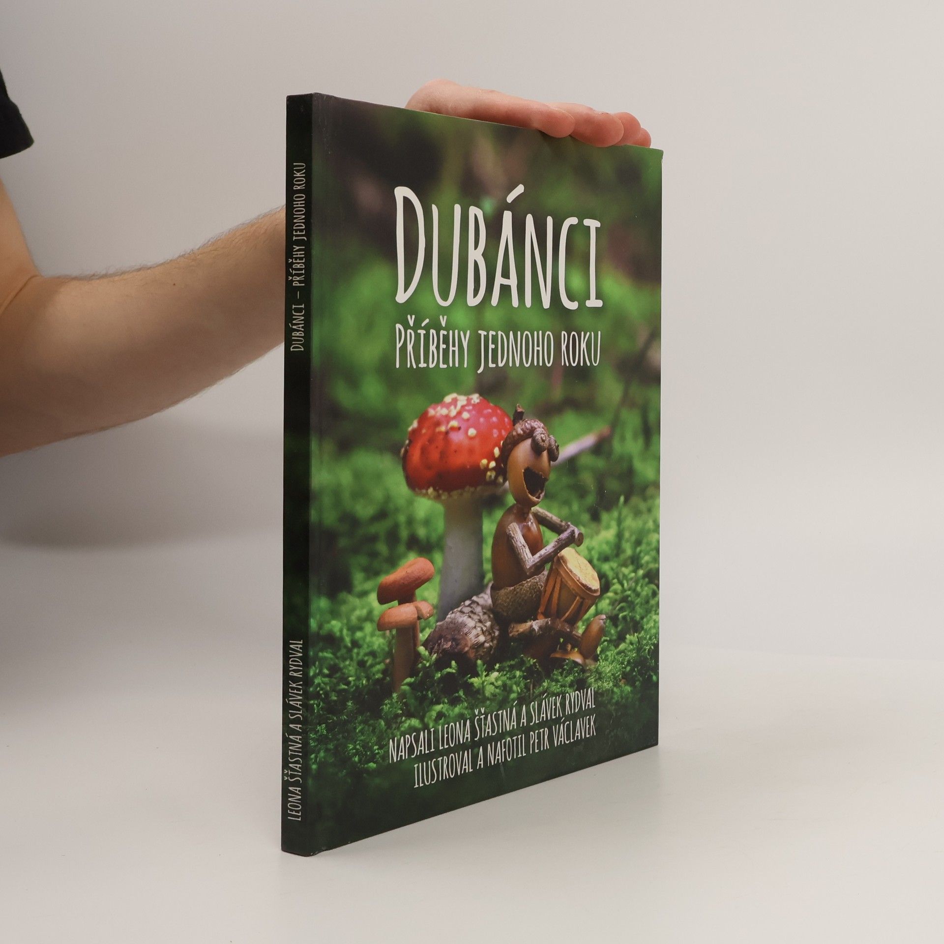 Dubánci: Příběhy jednoho roku