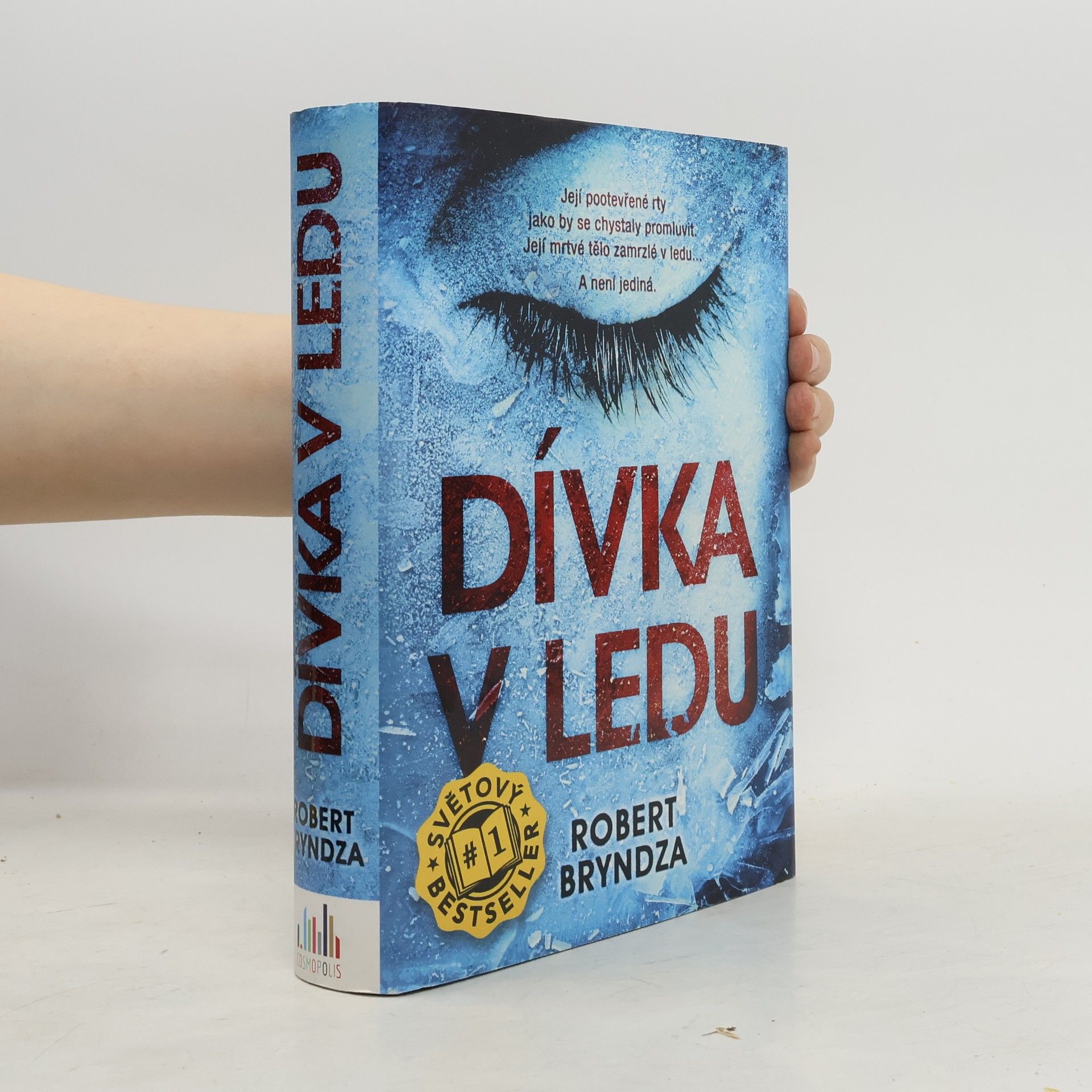 Robert Bryndza Dívka v ledu