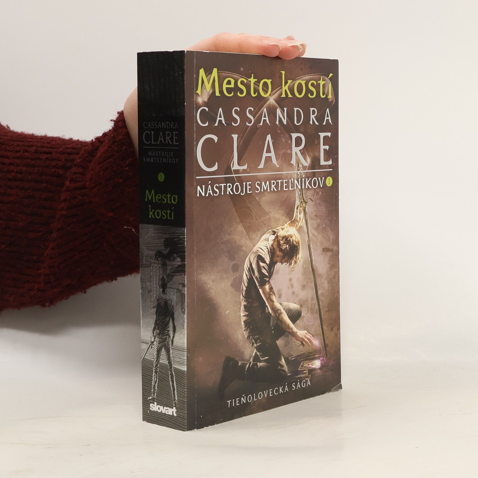 Cassandra Clare Mesto kostí