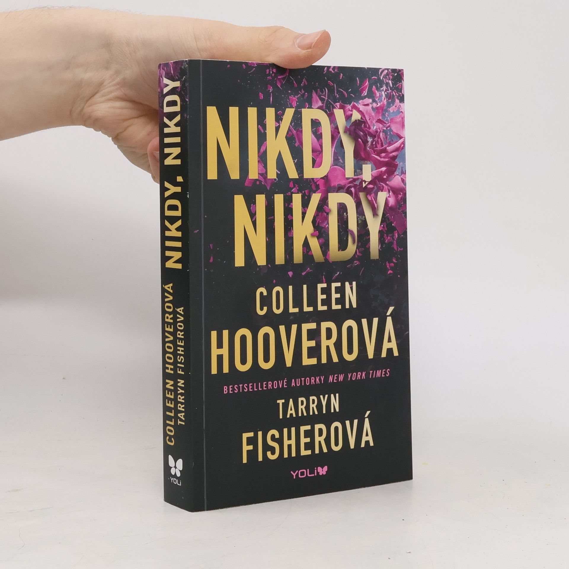 Colleen Hoover Nikdy, nikdy