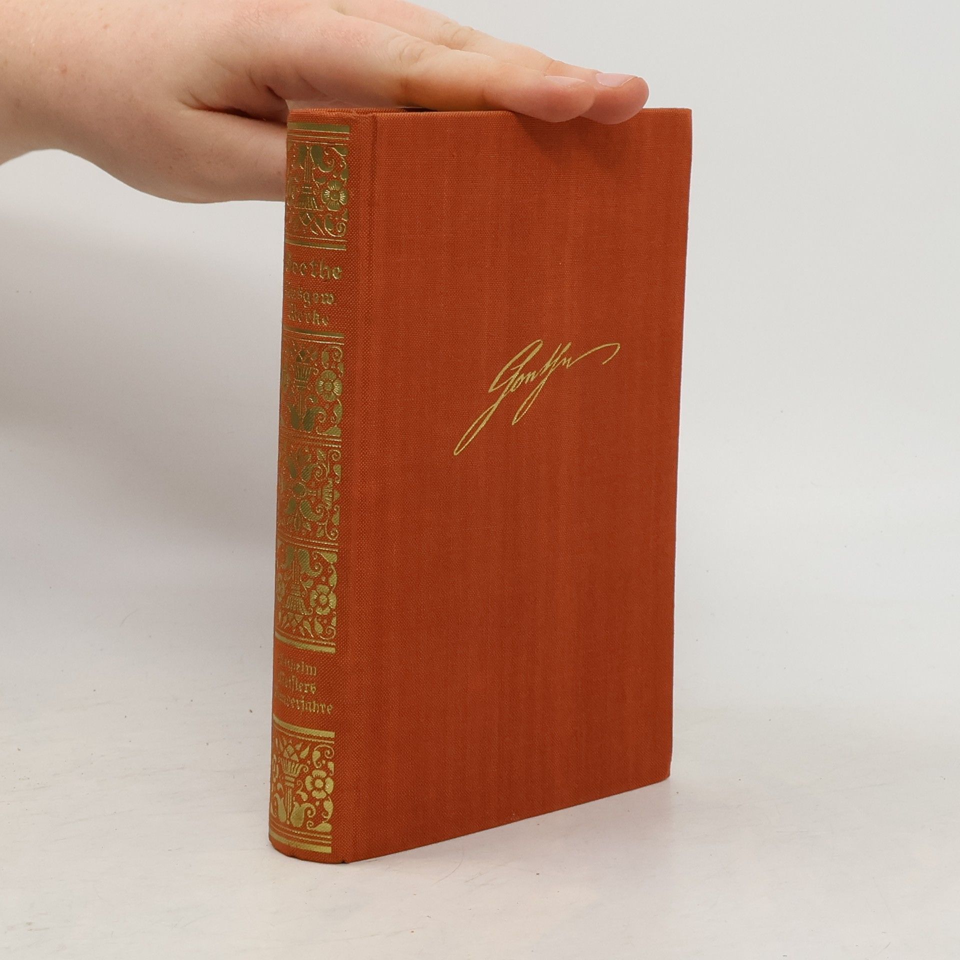 Johann Wolfgang von Goethe Ausgewählte Werke. Wilhelm Meisters Wanderjahre