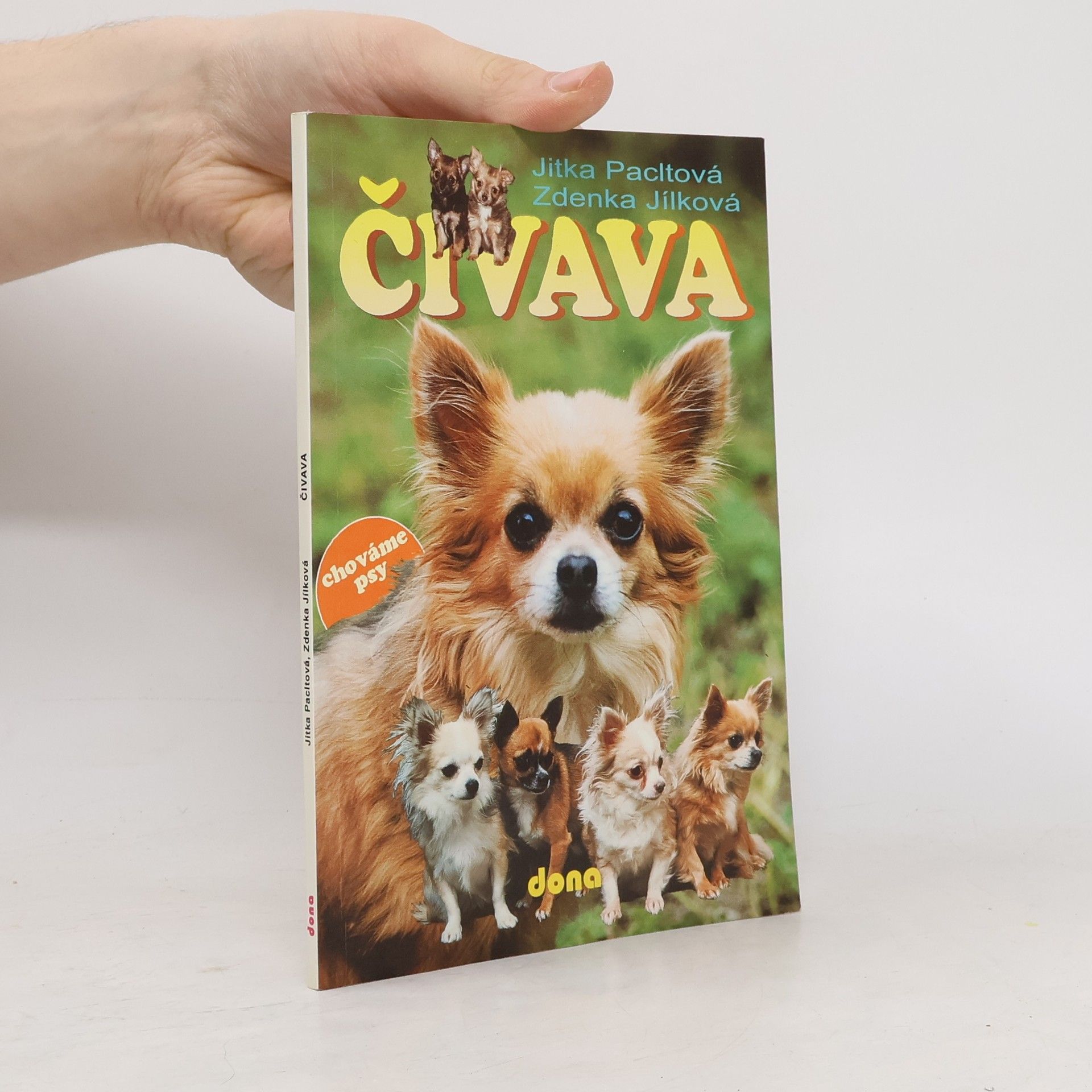 Jitka Pacltová Čivava